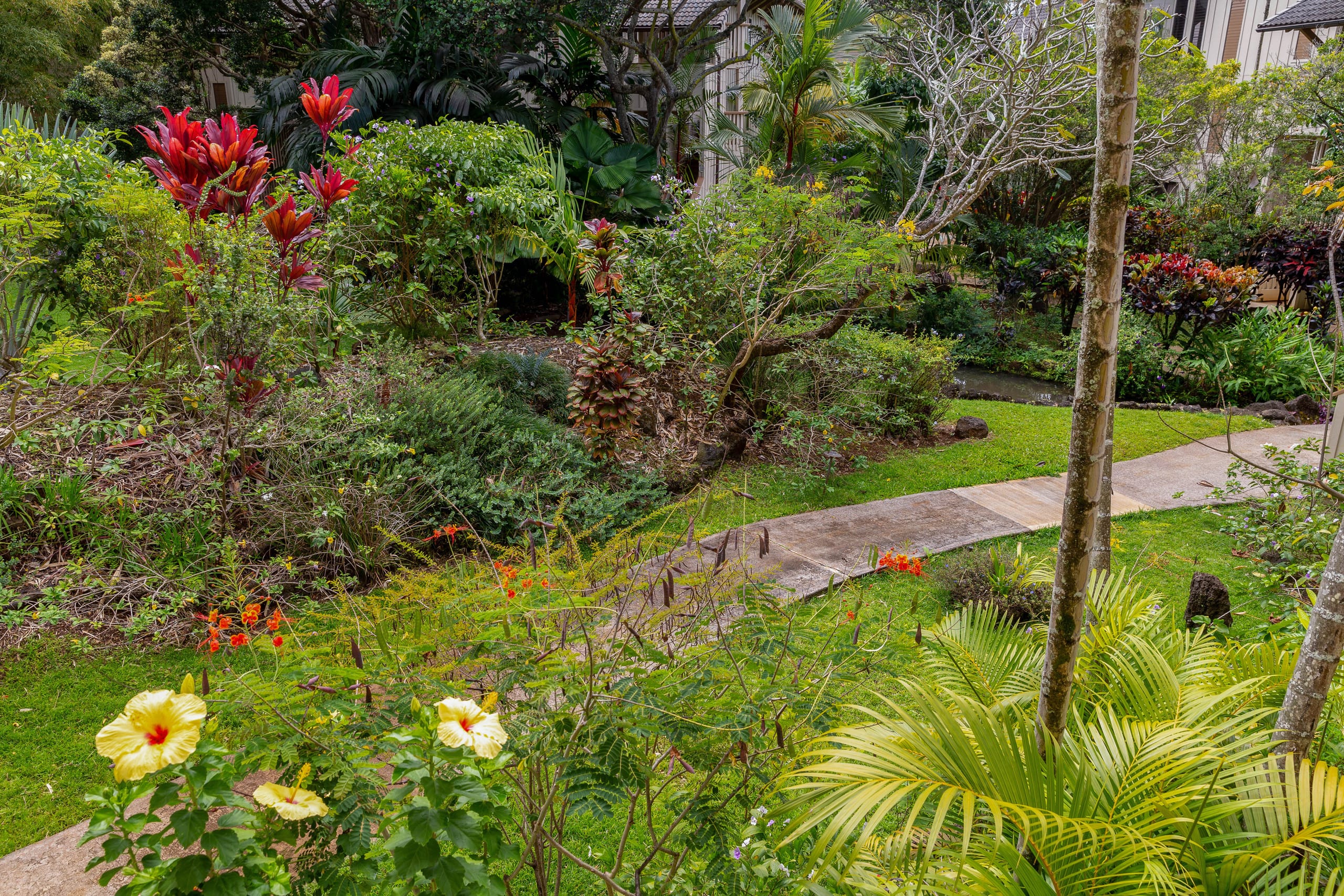 Condo in Koloa · ★4.64 · 2 bedrooms · 2 beds · 2 baths - Image 33