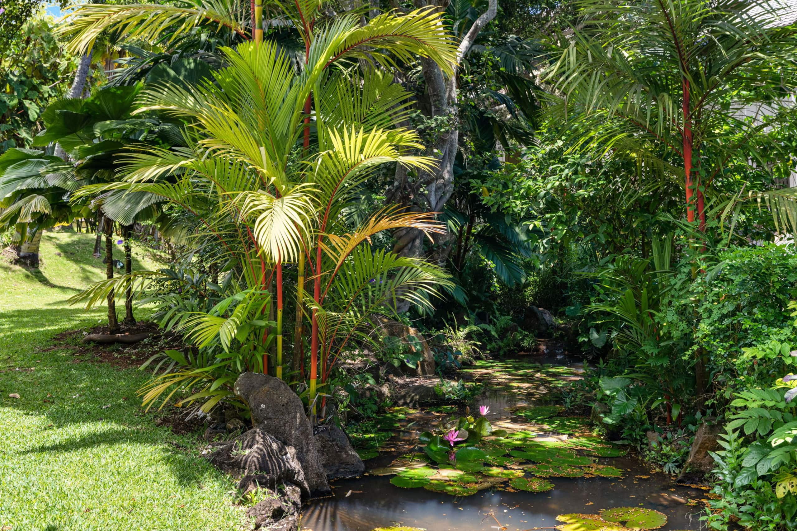 Condo in Koloa · ★4.64 · 2 bedrooms · 2 beds · 2 baths - Image 27