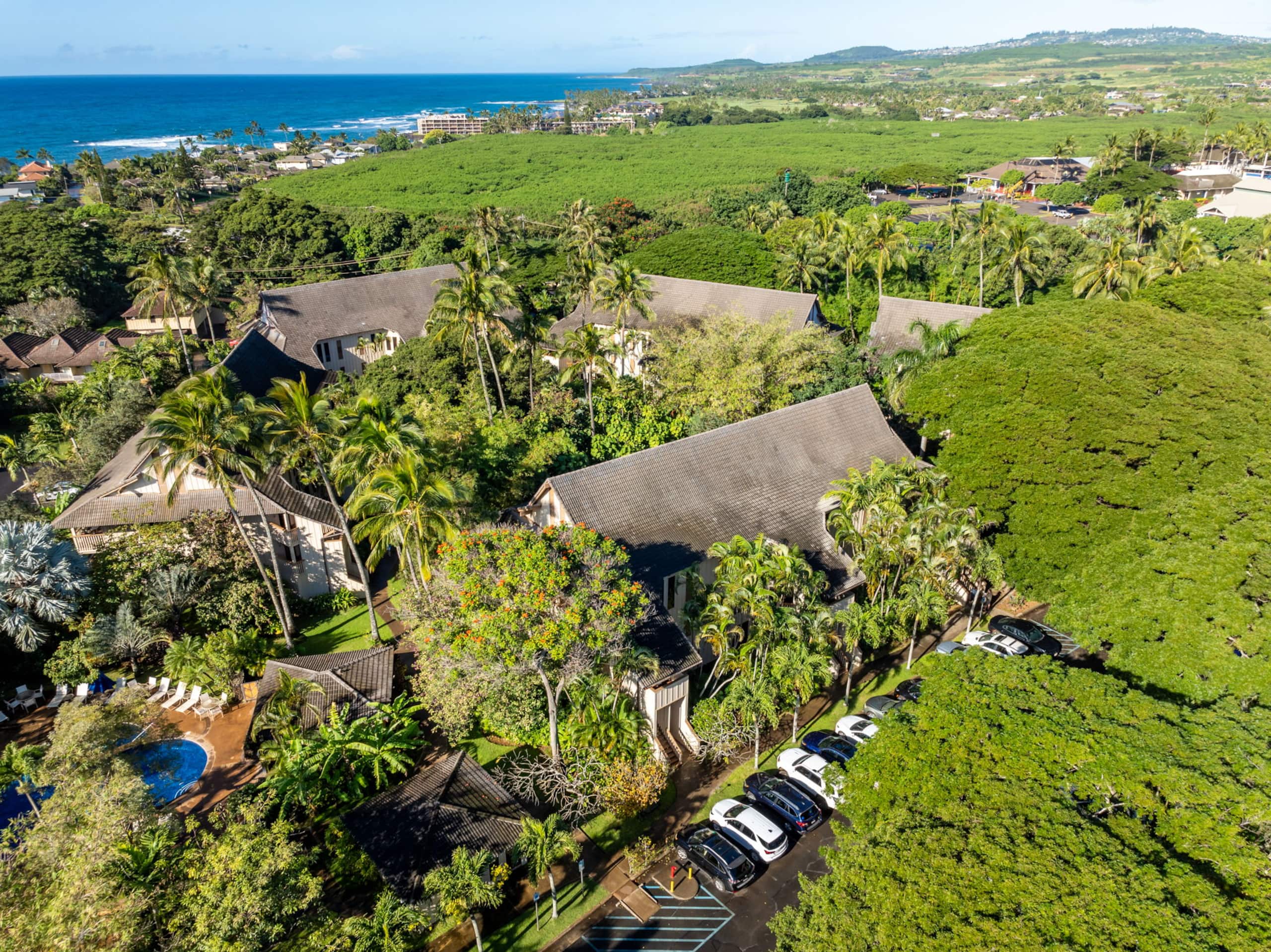 Condo in Koloa · ★4.64 · 2 bedrooms · 2 beds · 2 baths - Image 43