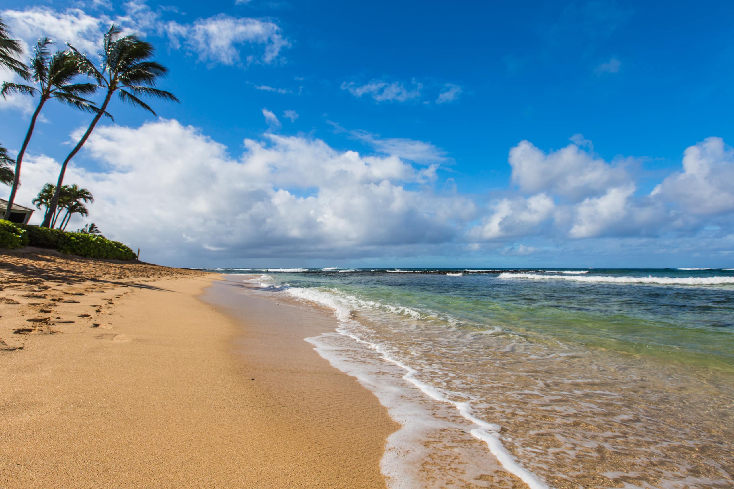 Condo in Koloa · ★4.64 · 2 bedrooms · 2 beds · 2 baths - Image 46