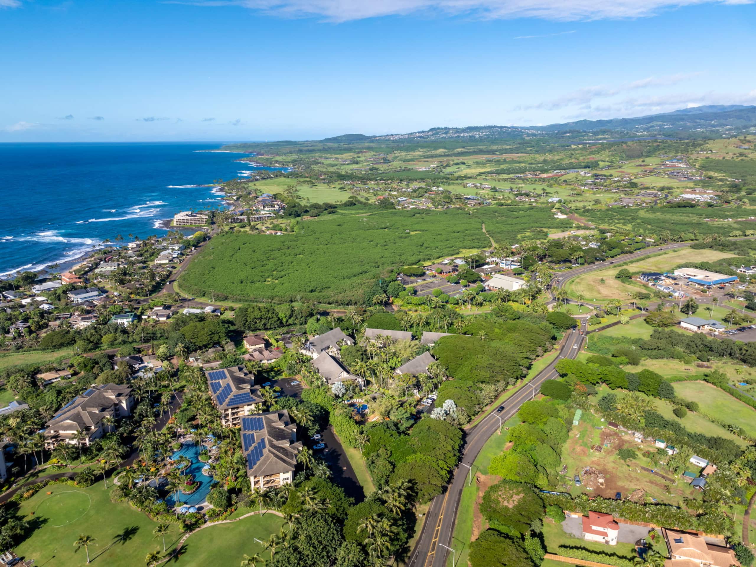 Condo in Koloa · ★4.64 · 2 bedrooms · 2 beds · 2 baths - Image 40