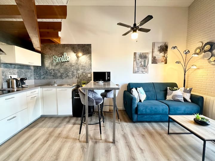 Le Duplex Lemon – Proche Centre Ville - Mont-de-Marsan