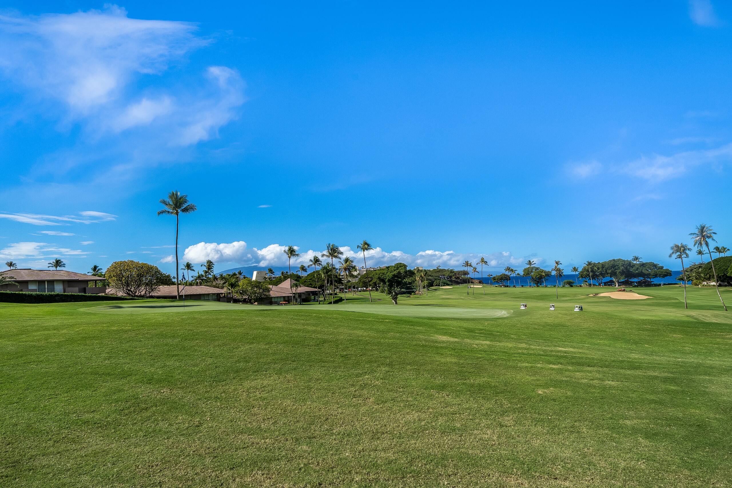 Condo in Lahaina · ★4.52 · 1 bedroom · 2 beds · 1 bath - Image 39