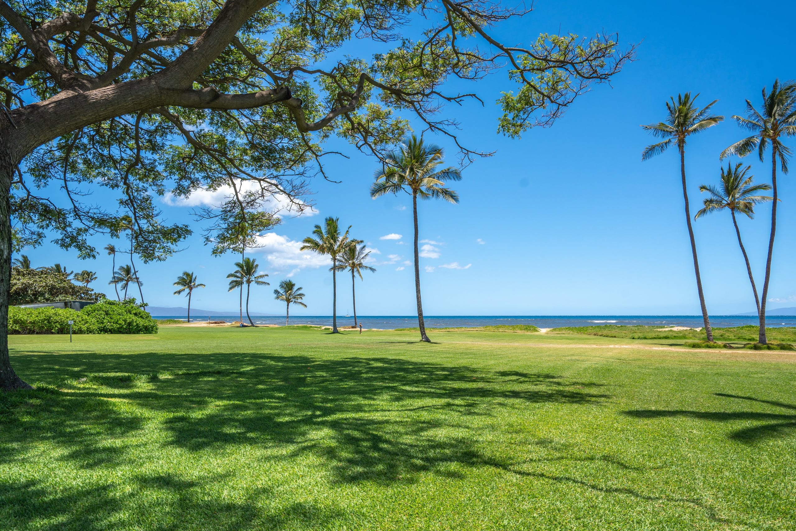 Panoramic Ocean View Full AC, Kitchen, WiFi LEI200 - Image 37