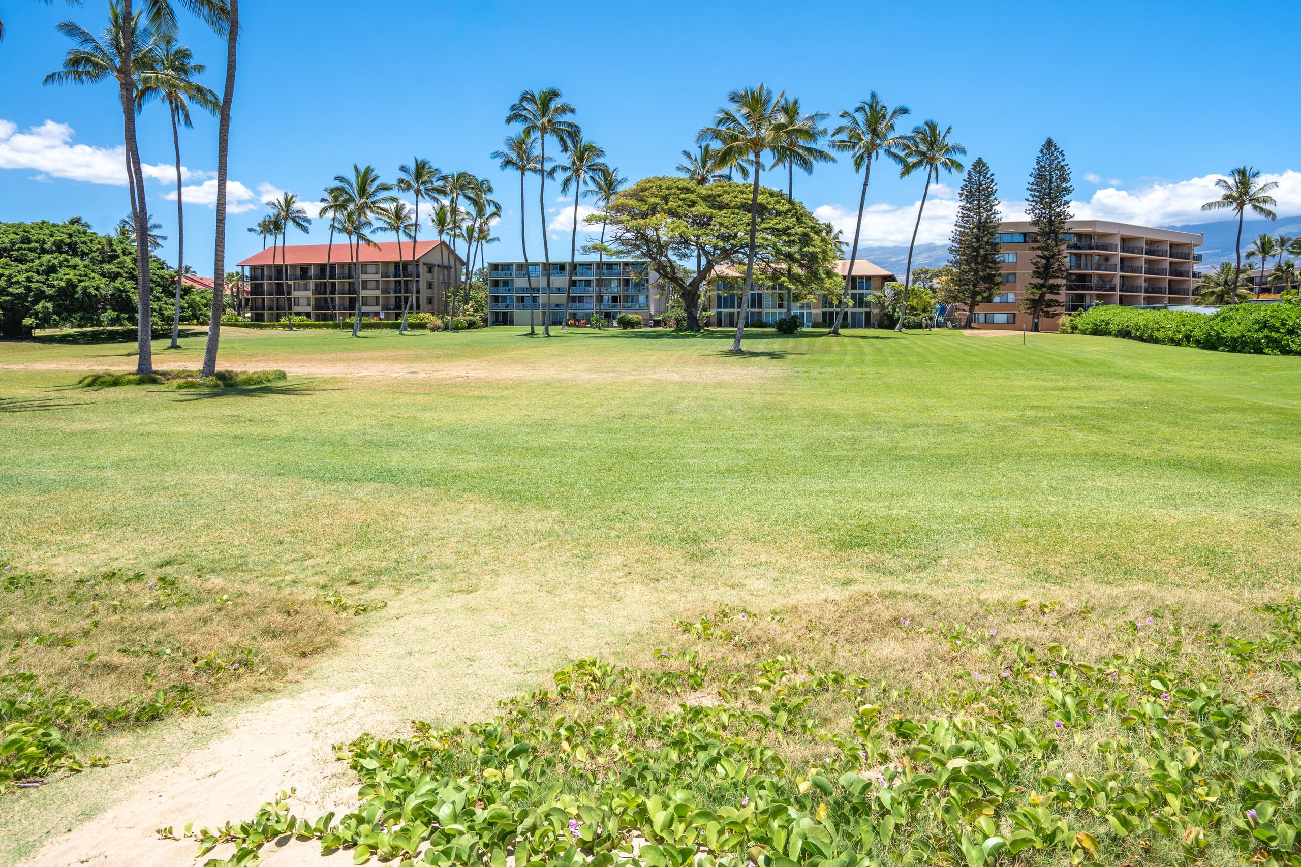 Panoramic Ocean View Full AC, Kitchen, WiFi LEI200 - Image 34