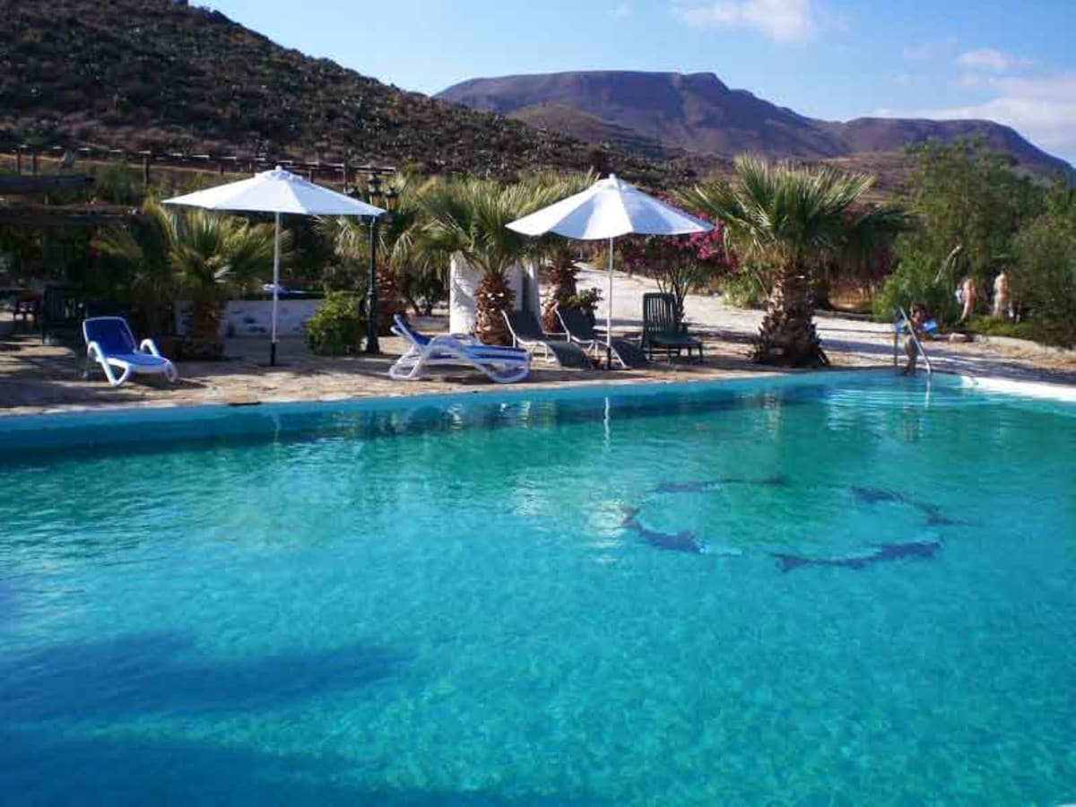 A clear swimming pool is surrounded by palm trees and sun loungers. Several umbrellas provide shade, creating a relaxing space. Scenic mountains rise in the background, enhancing the tranquil environment. The area is well-suited for leisurely sunbathing and enjoying the outdoor atmosphere.