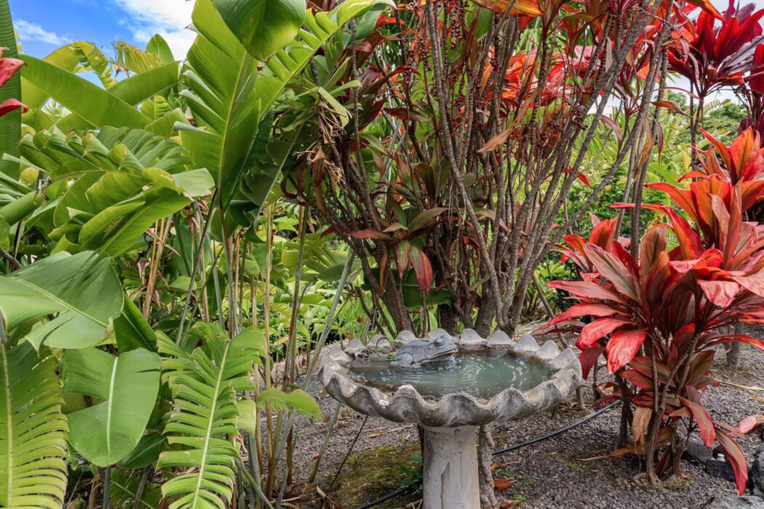 Home in Kailua-Kona · ★5.0 · 3 bedrooms · 4 beds · 2.5 baths - Image 71
