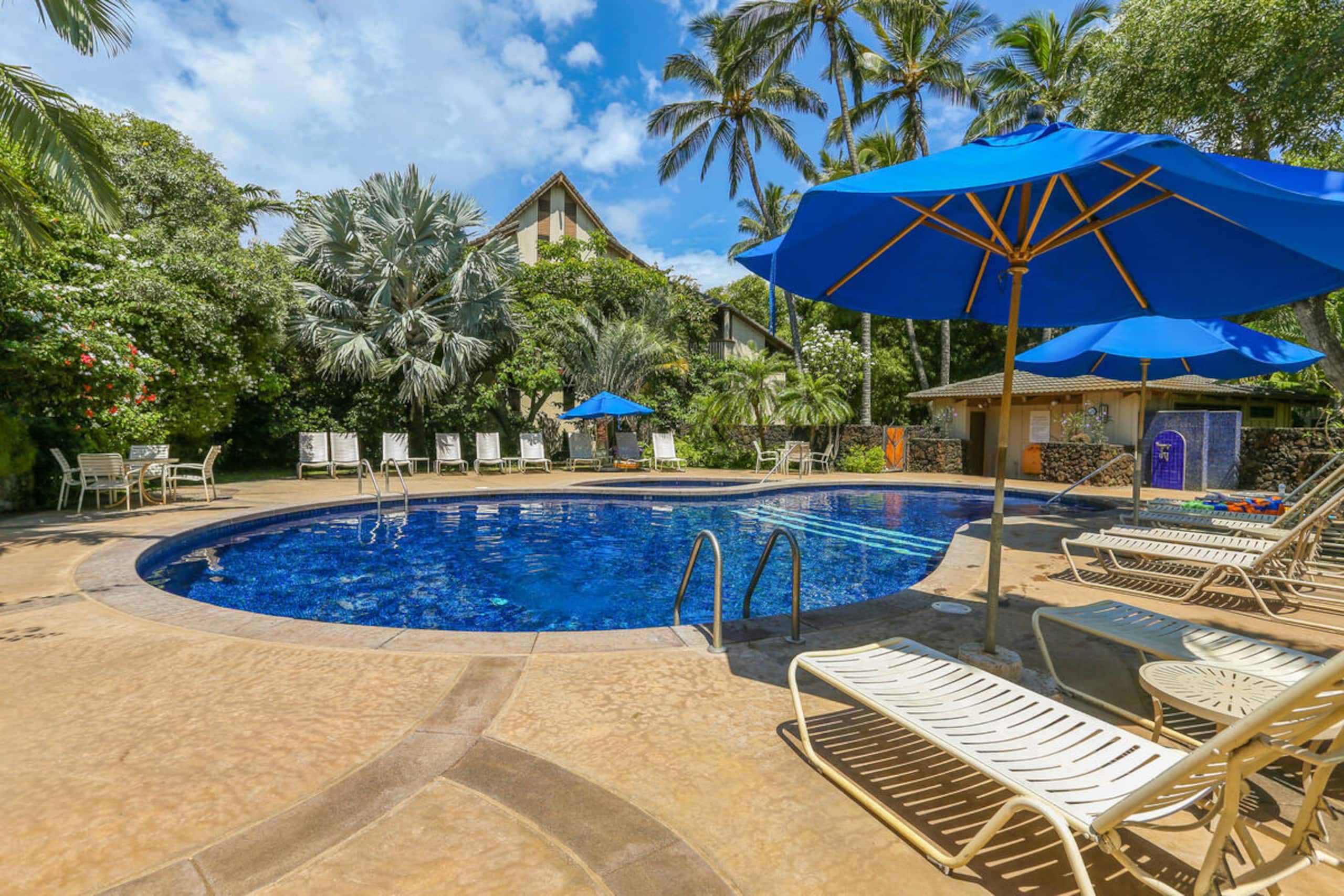Waikomo Streams 121: Tropic Gardens & Shared Pool - Image 10