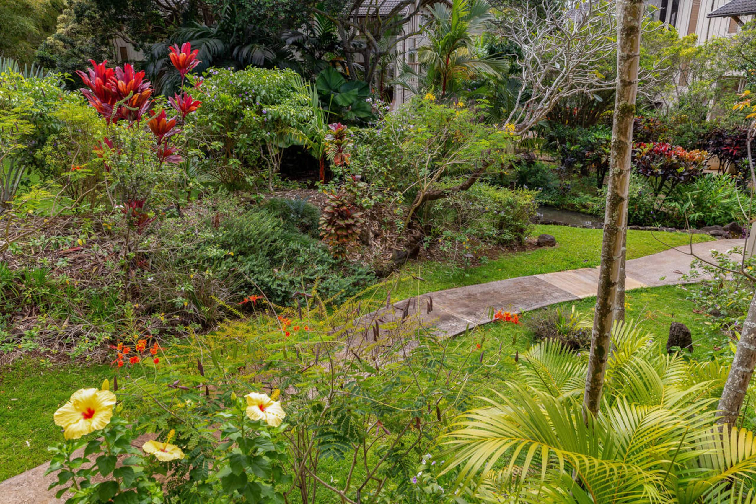 Waikomo Streams 121: Tropic Gardens & Shared Pool - Image 17