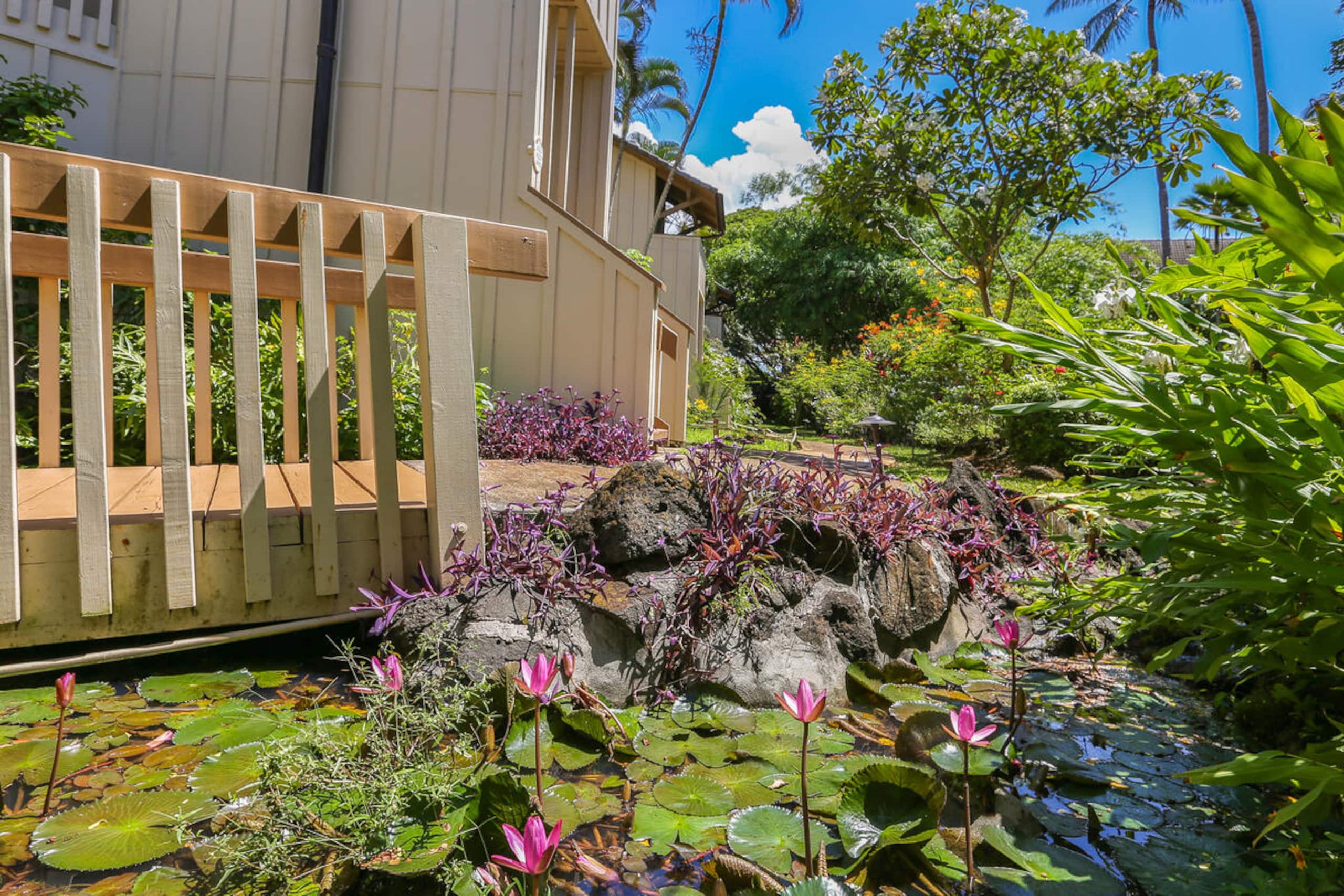 Waikomo Streams 121: Tropic Gardens & Shared Pool - Image 20