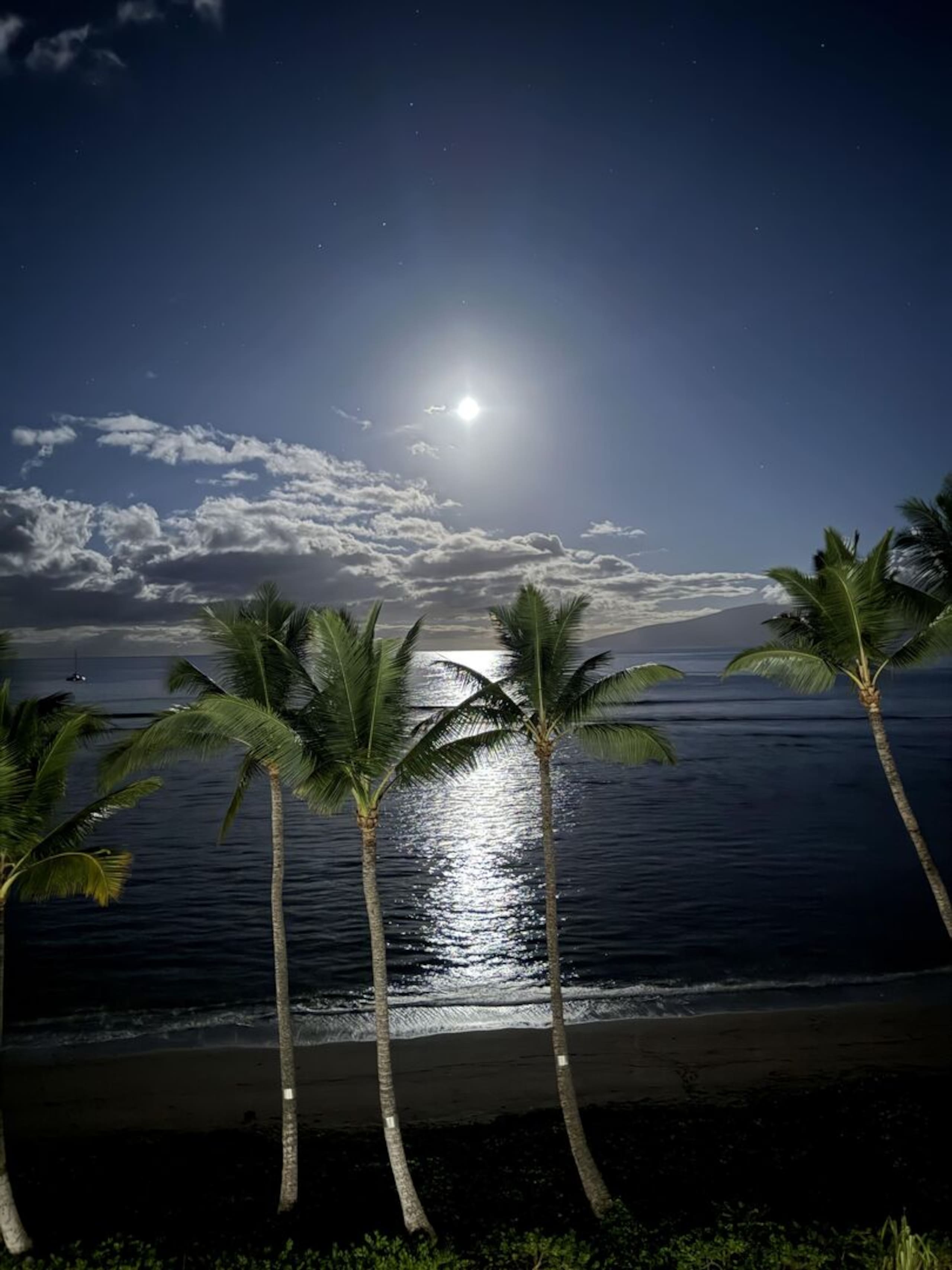 Condo in Lahaina · ★5.0 · Studio · 1 private bath - Image 20