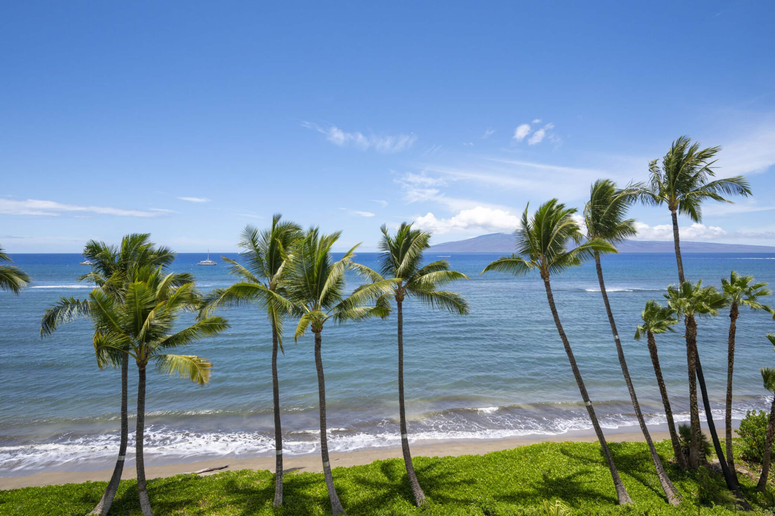 Condo in Lahaina · ★5.0 · Studio · 1 private bath - Image 24