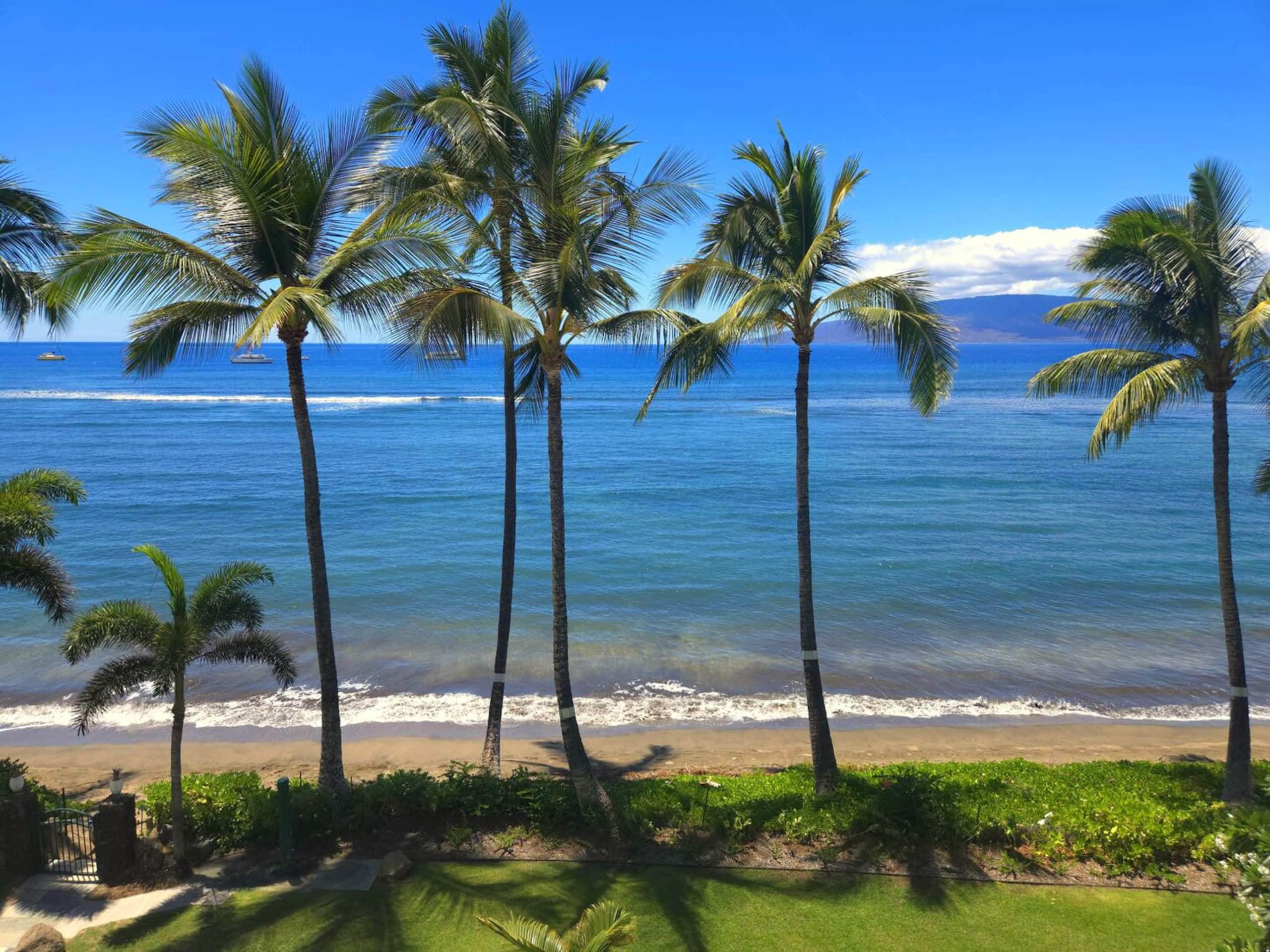 Oceanfront Studio Escape – Lahaina Shores 421 - Image 9