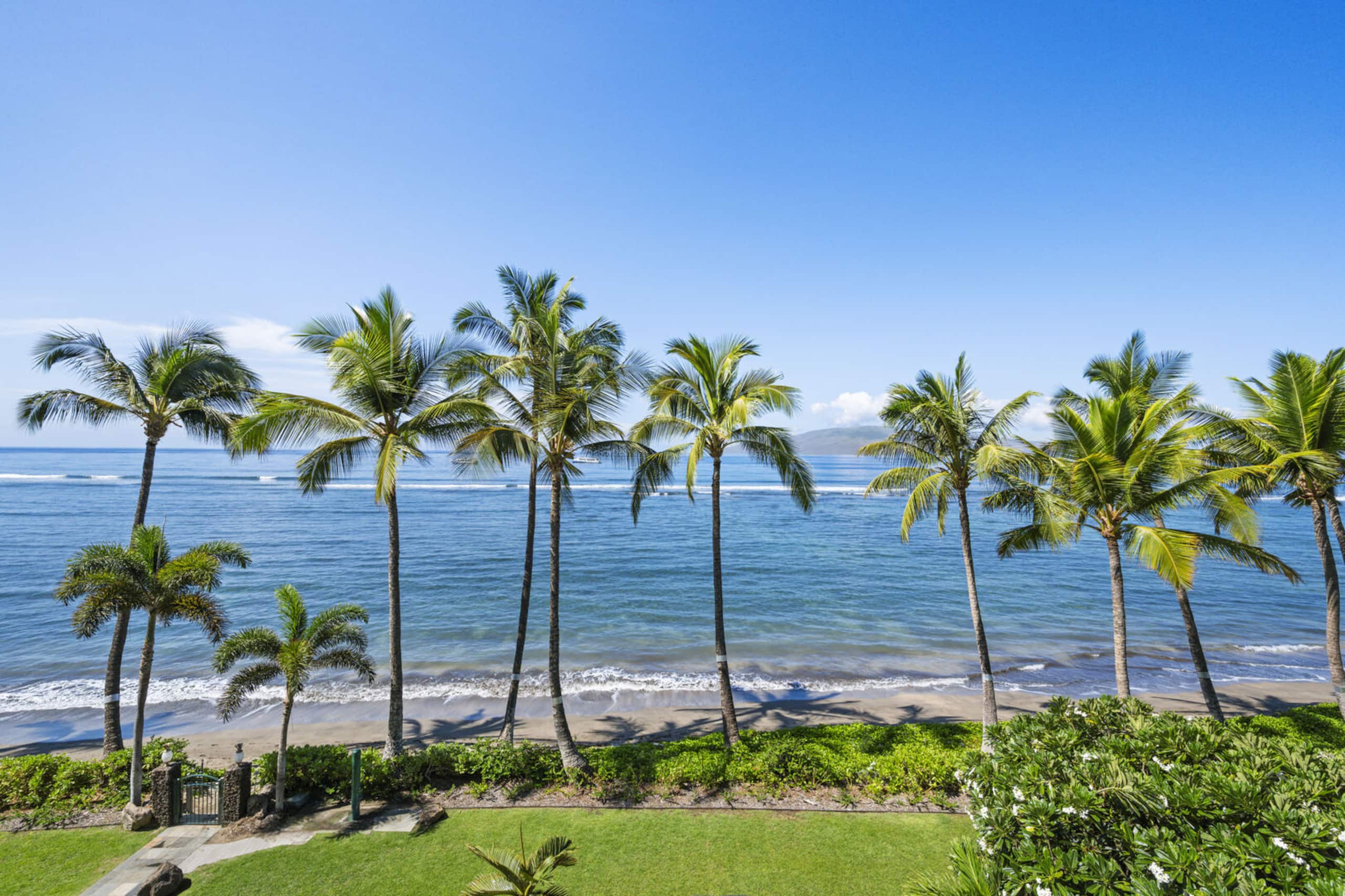 Oceanfront Studio Escape – Lahaina Shores 421 - Image 2