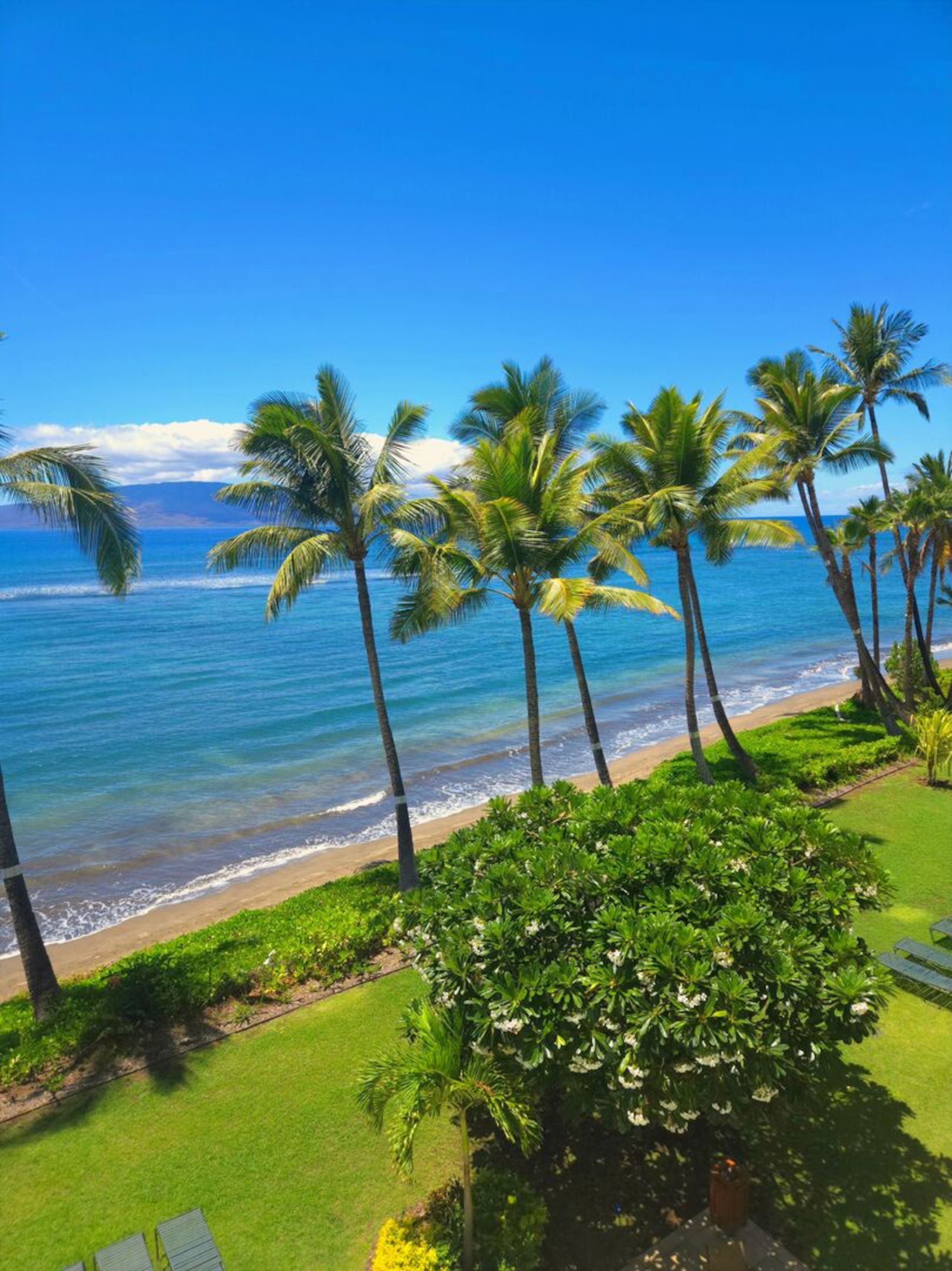 Oceanfront Studio Escape – Lahaina Shores 421 - Image 10