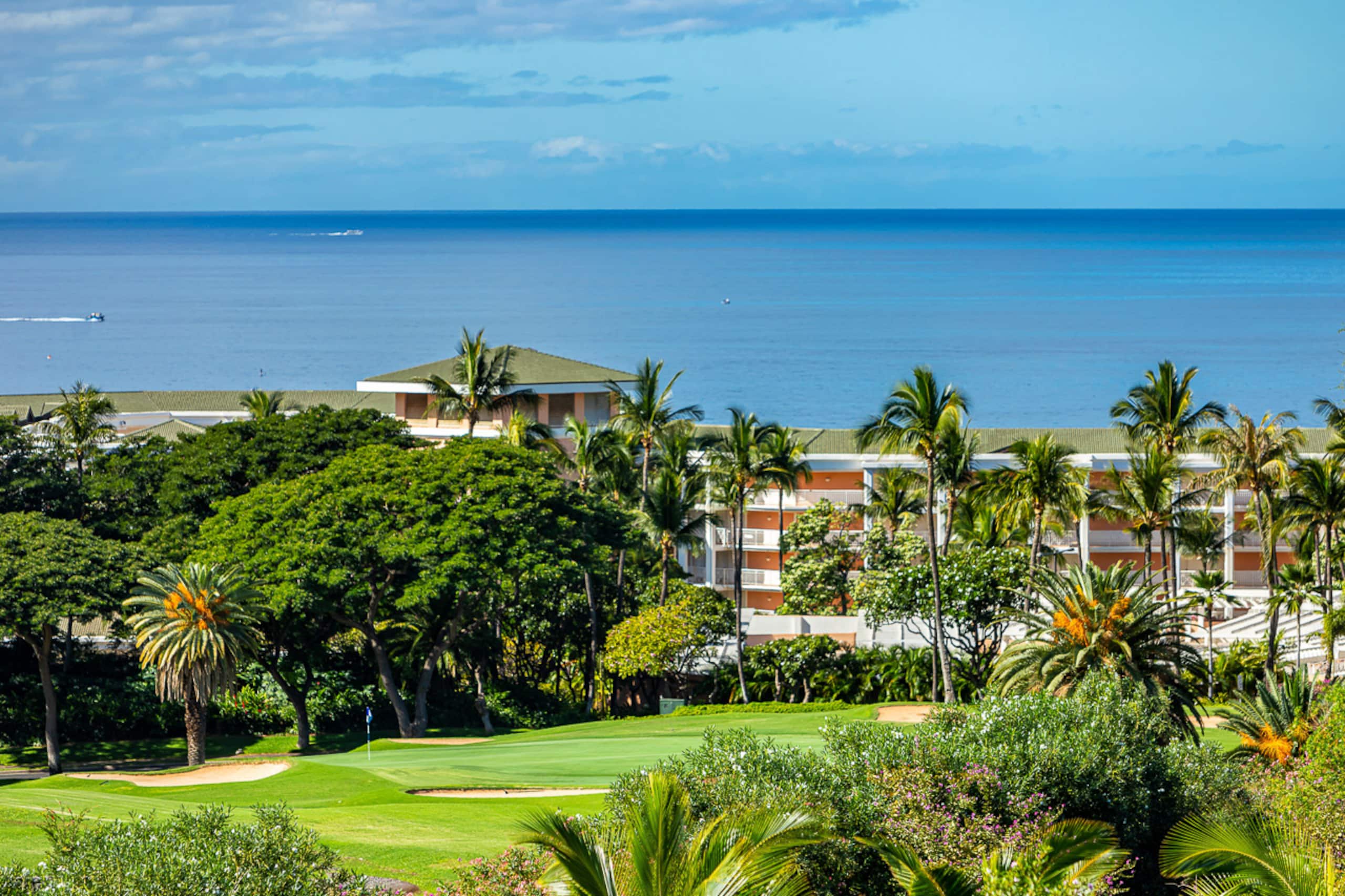 Condo in Kihei · ★4.5 · 1 bedroom · 2 beds · 2 baths - Image 40