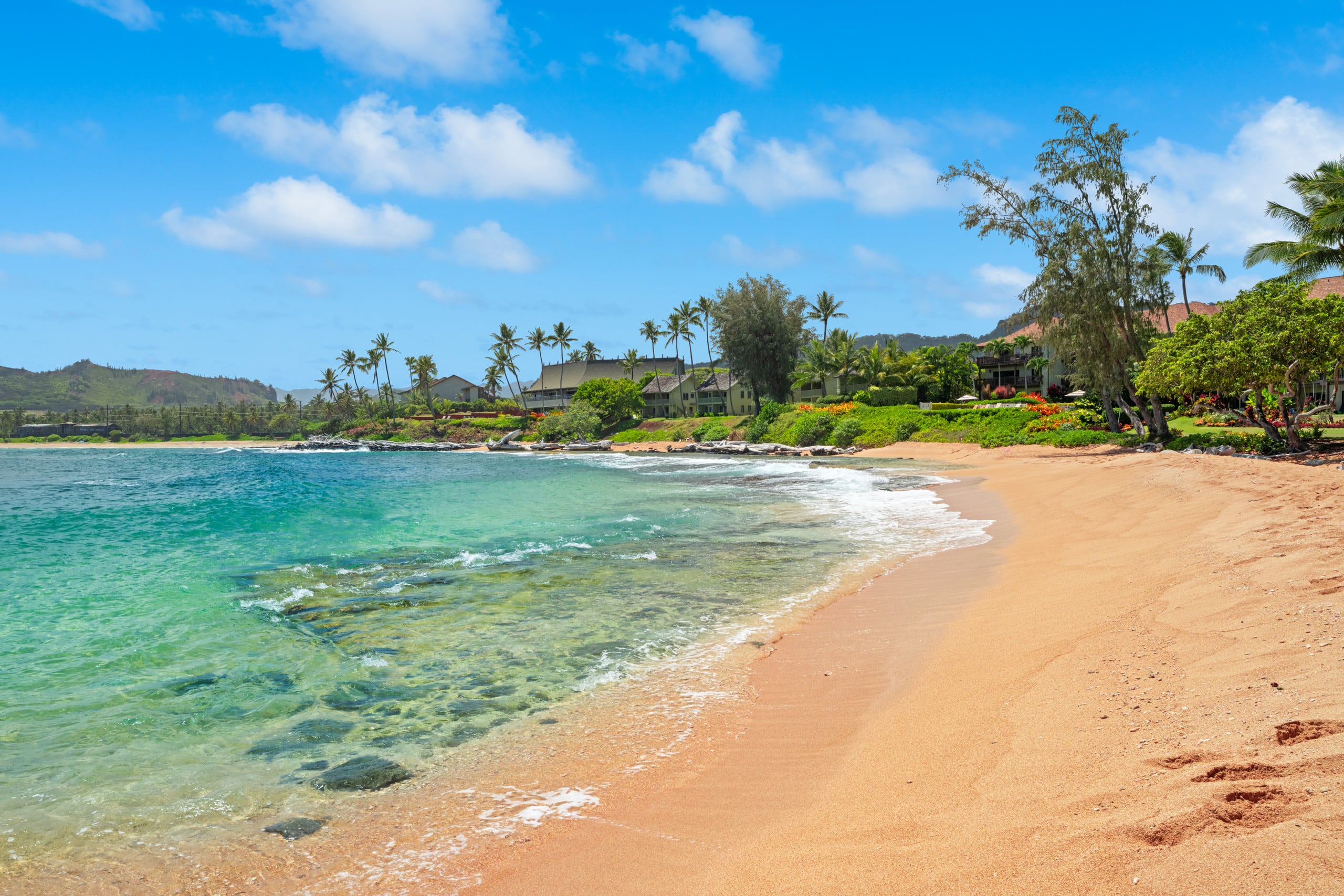 Condo in Kapaa · ★5.0 · 3 bedrooms · 4 beds · 2 baths - Image 3