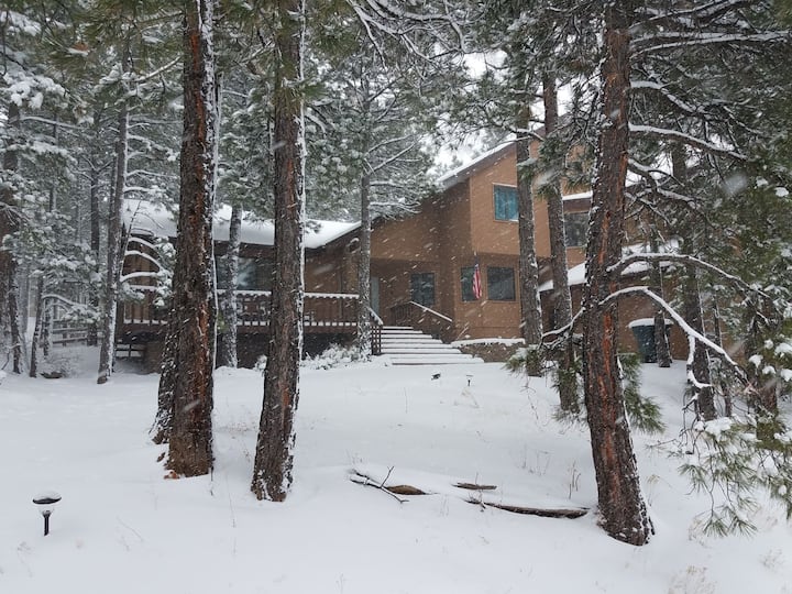 7 Best PetFriendly Cabins In Flagstaff, Arizona Updated Trip101