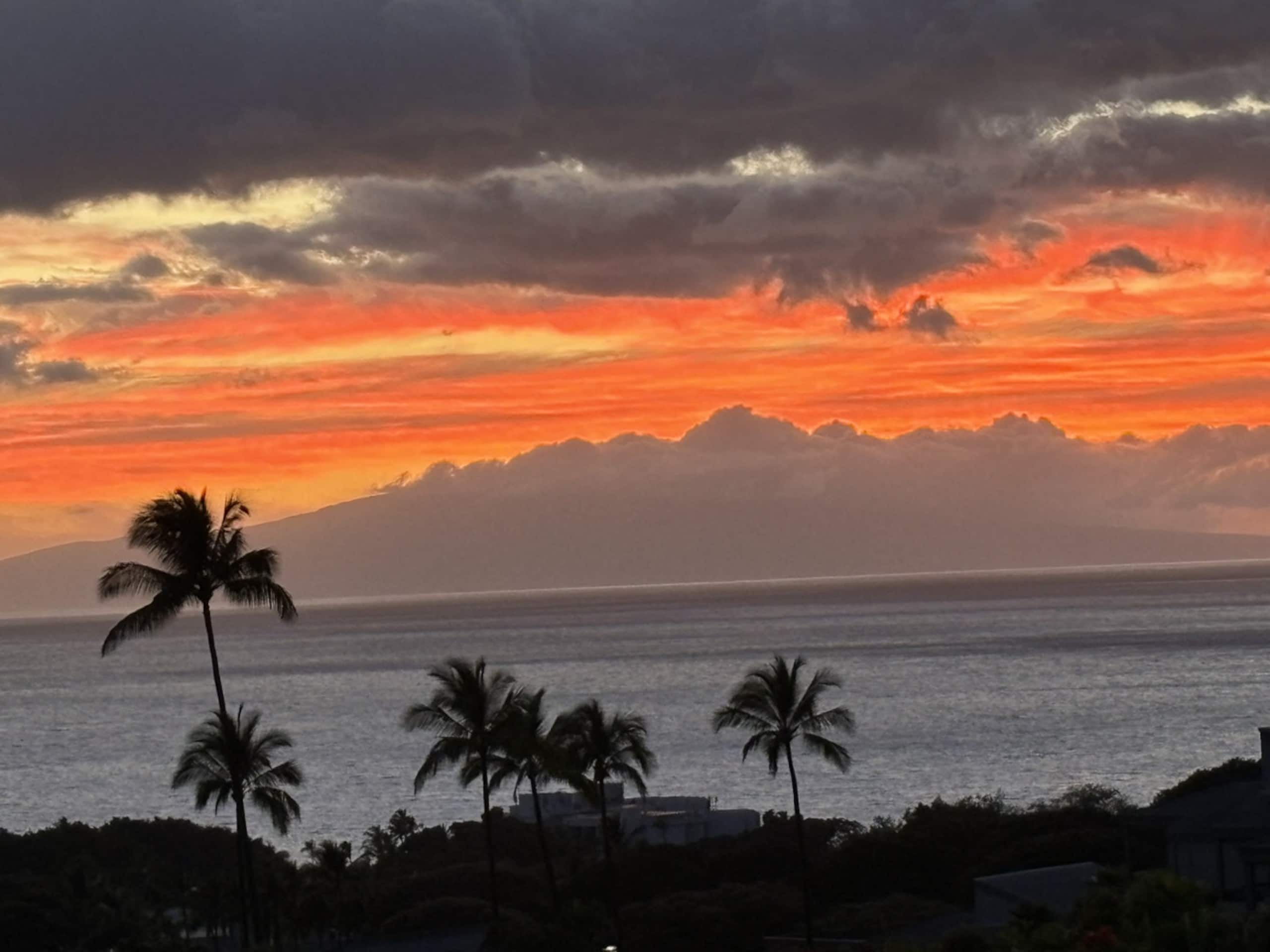 Condo in Wailea · ★4.95 · 1 bedroom · 3 beds · 2 baths - Photo 66