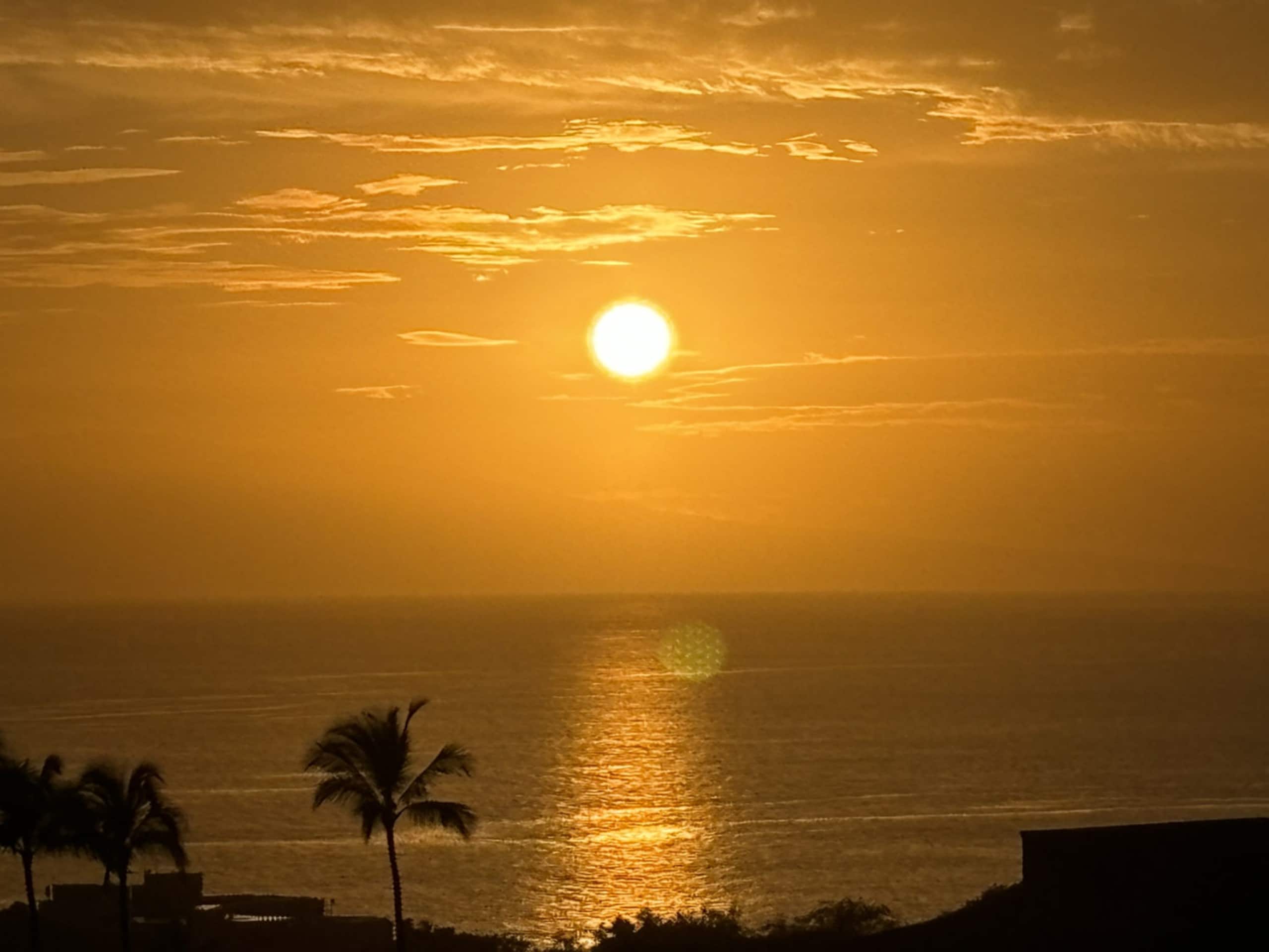Condo in Wailea · ★4.95 · 1 bedroom · 3 beds · 2 baths - Photo 71