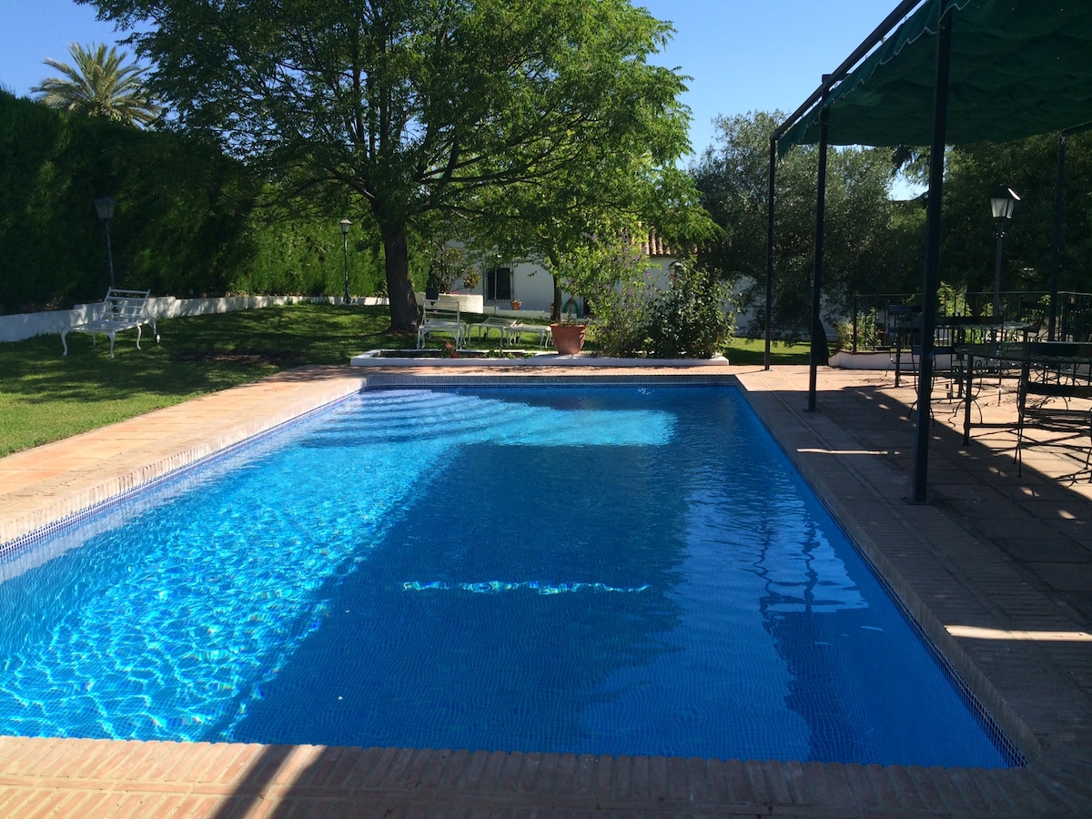 A refreshing pool reflects the blue sky, surrounded by well-maintained gardens. Sun loungers and a shaded seating area are positioned nearby, offering options for relaxation. A large tree provides shade, enhancing the outdoor space for enjoyment.