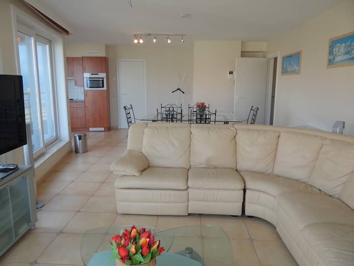 Appartement Nieuwpoort Vue Sur Mer - Nieuport
