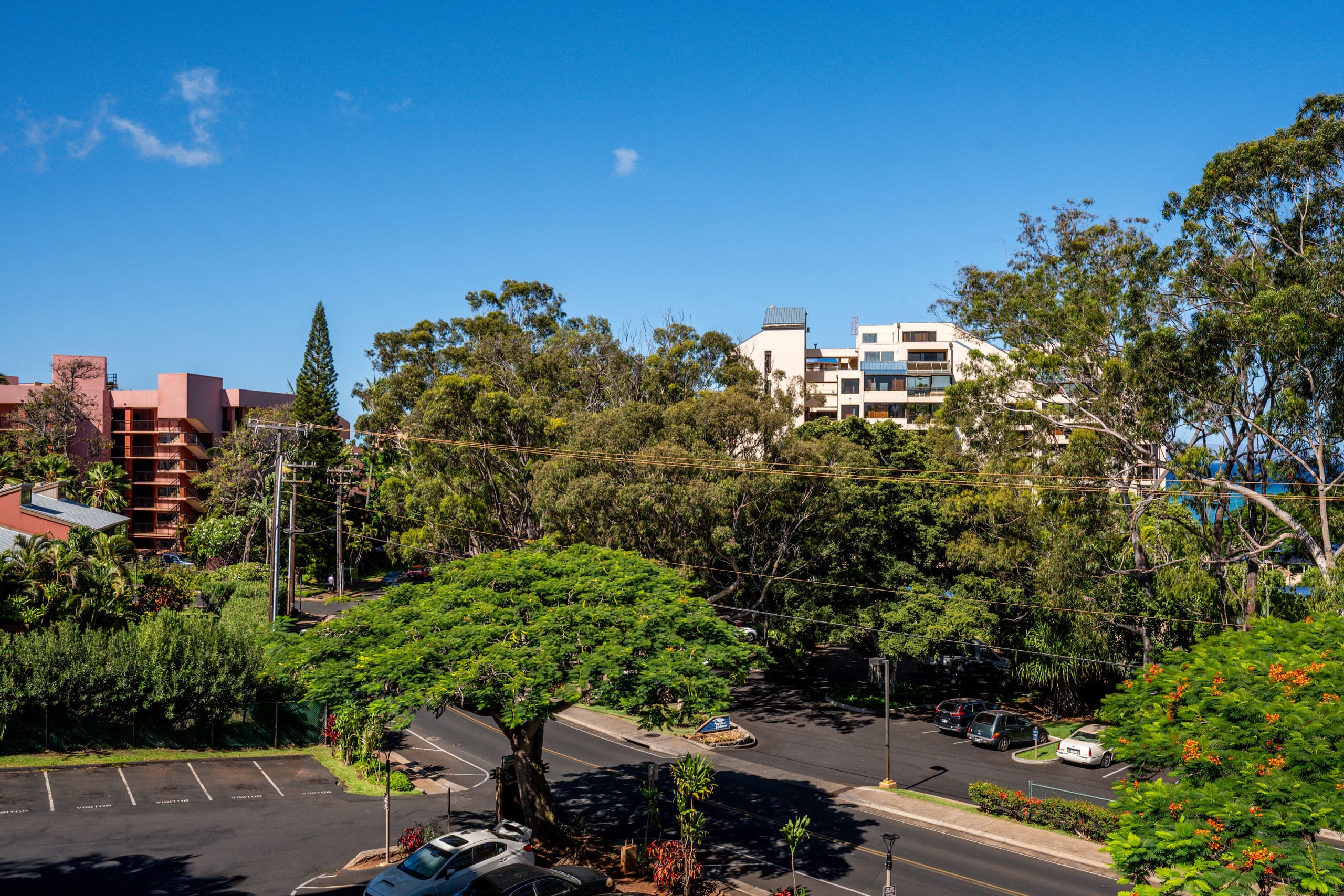 Condo in Lahaina · ★4.9 · 1 bedroom · 1 bed · 1 bath - Image 28