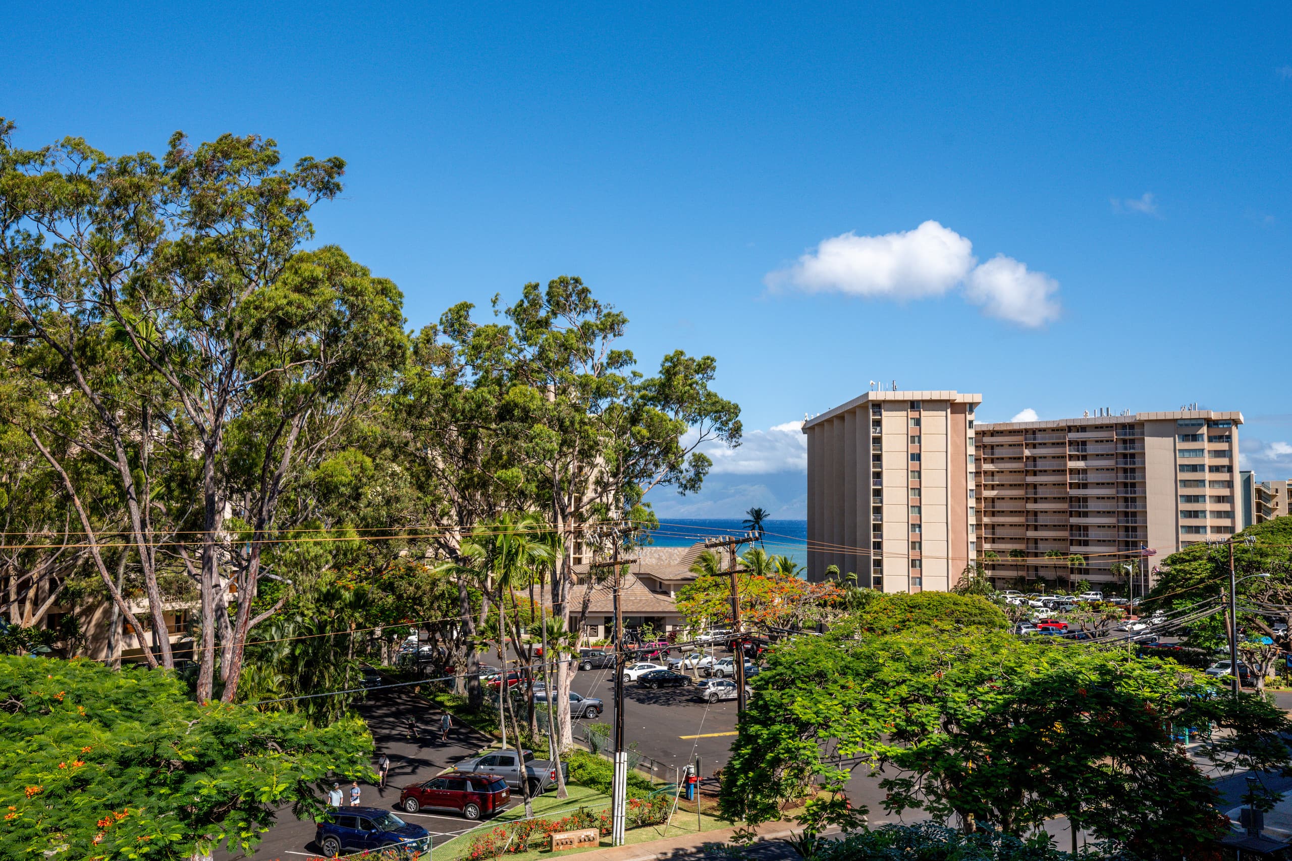 Condo in Lahaina · ★4.9 · 1 bedroom · 1 bed · 1 bath - Image 26