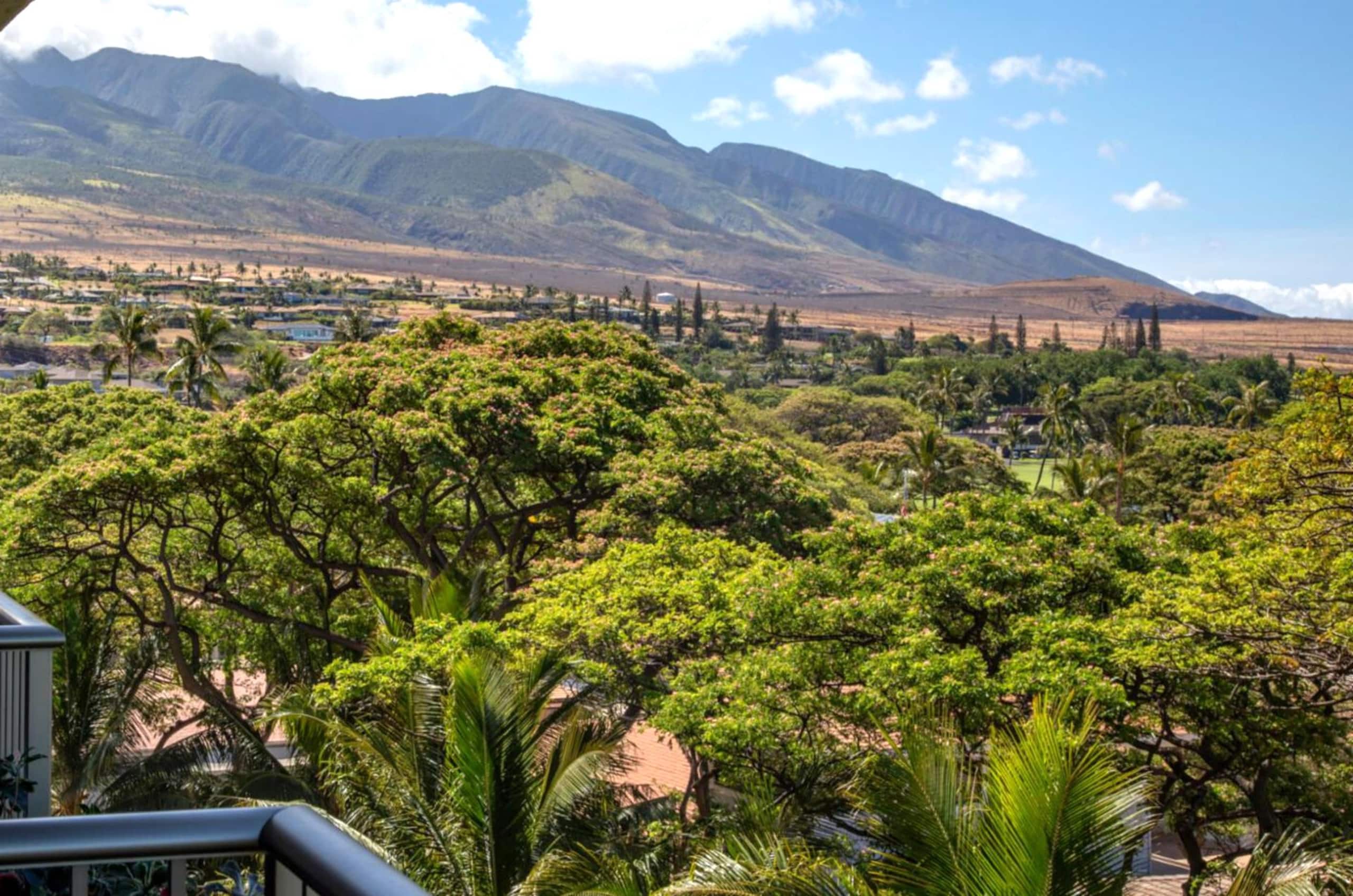 Condo in Lahaina · ★5.0 · 1 bedroom · 2 beds · 1 bath - Image 4