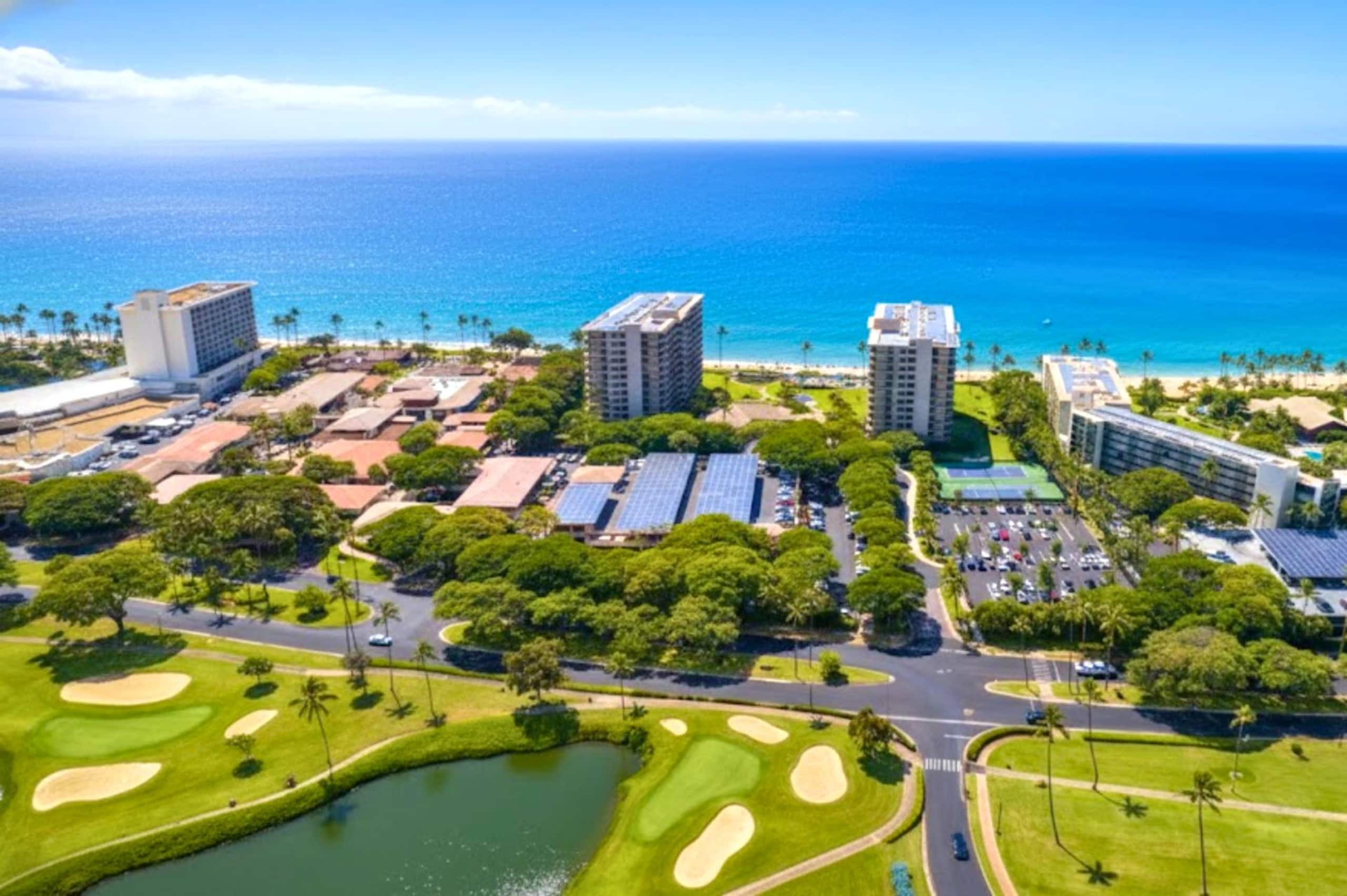 Condo in Lahaina · ★5.0 · 1 bedroom · 2 beds · 1 bath - Image 28