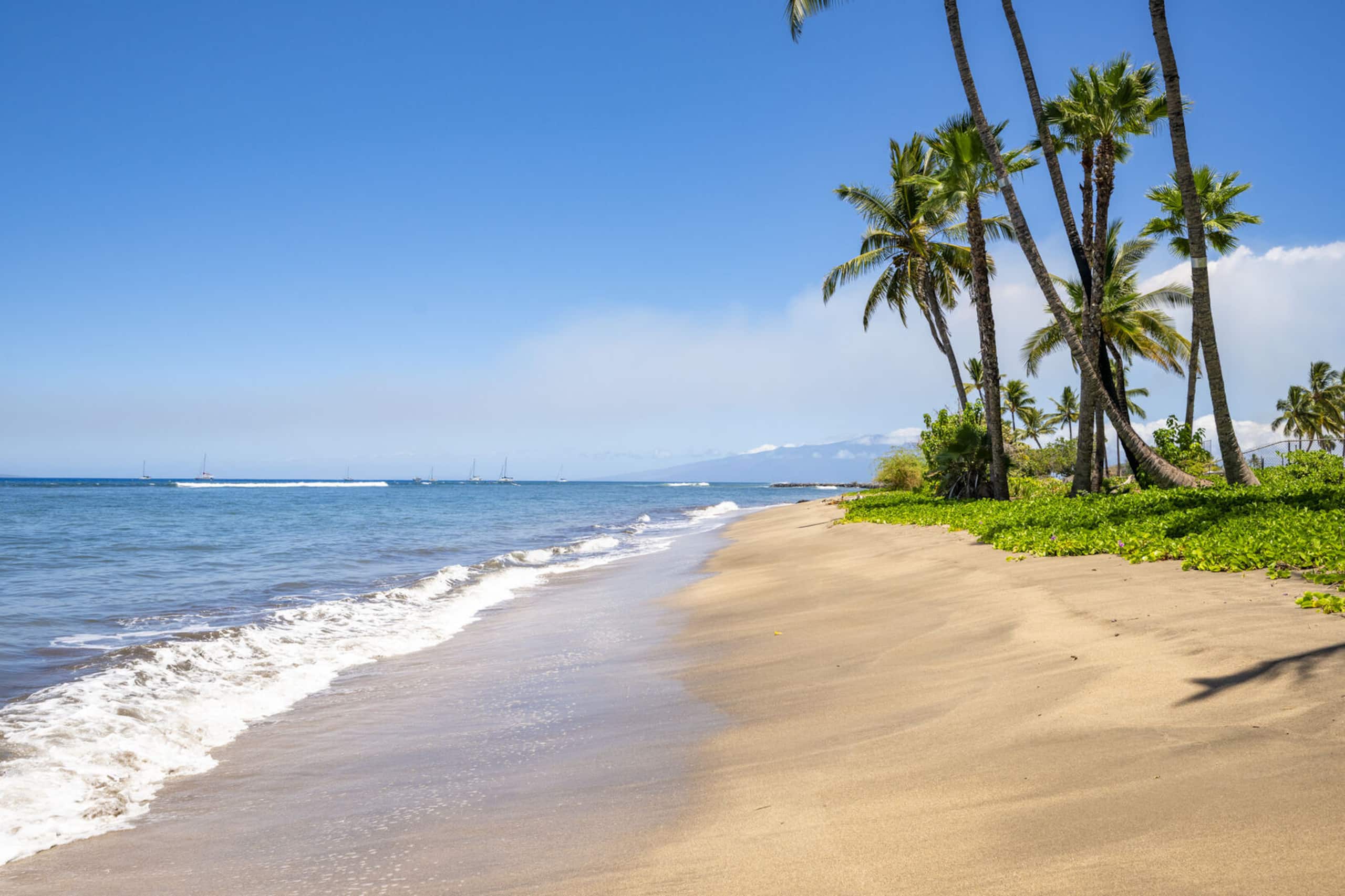Relaxing Oceanfront Studio at Lahaina Shores - Image 24