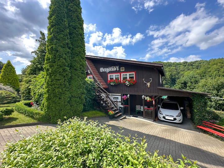 Maison De Vacances Indépendante Avec Terrasse - Elbingerode