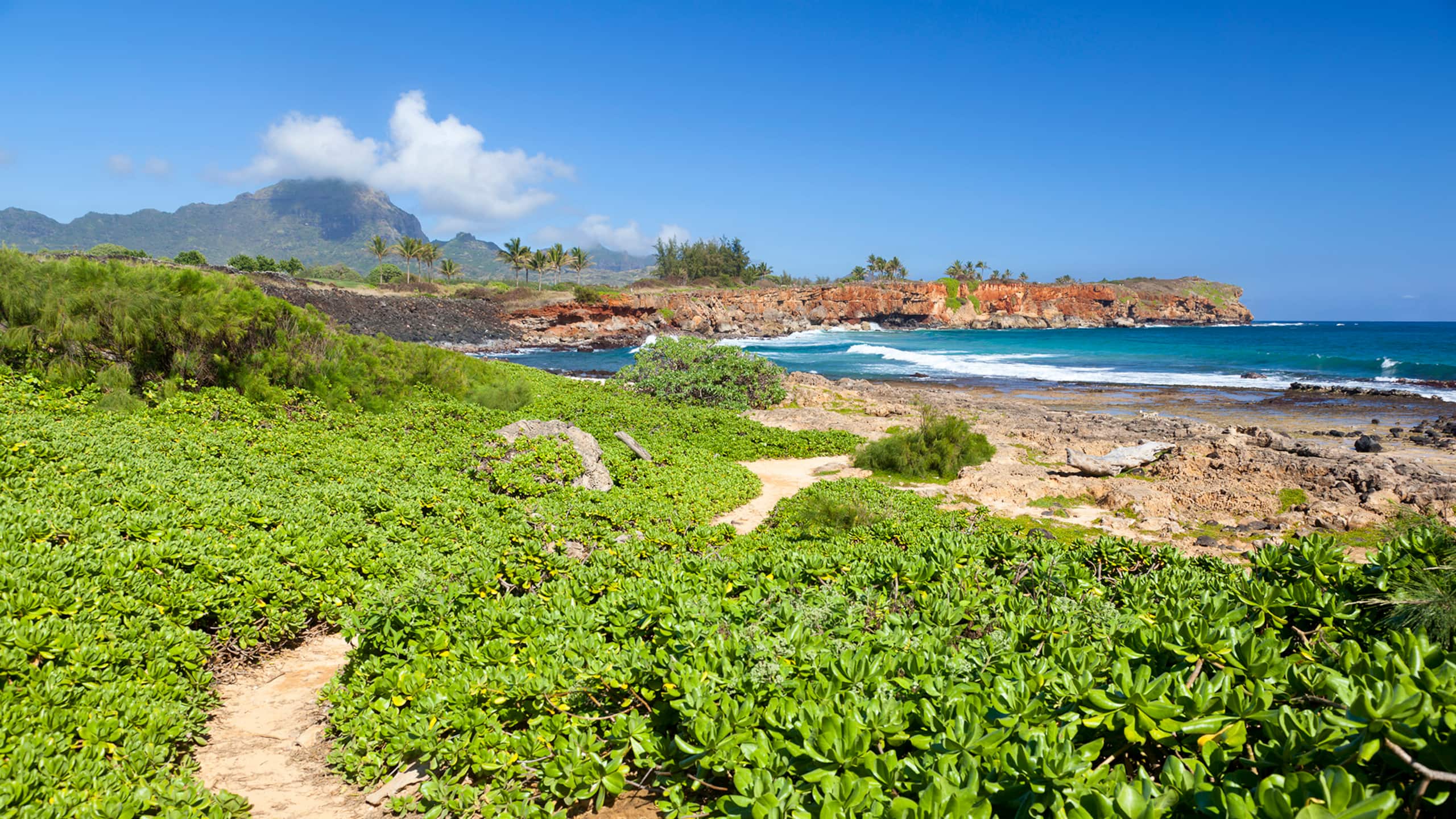 Kiahuna Plantation 029 By Parrish Kauai - Image 31