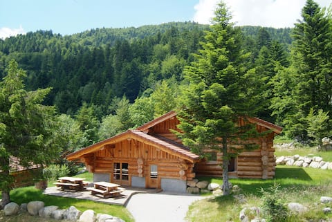 Unique to La Bresse, 220 m² log cabin, group