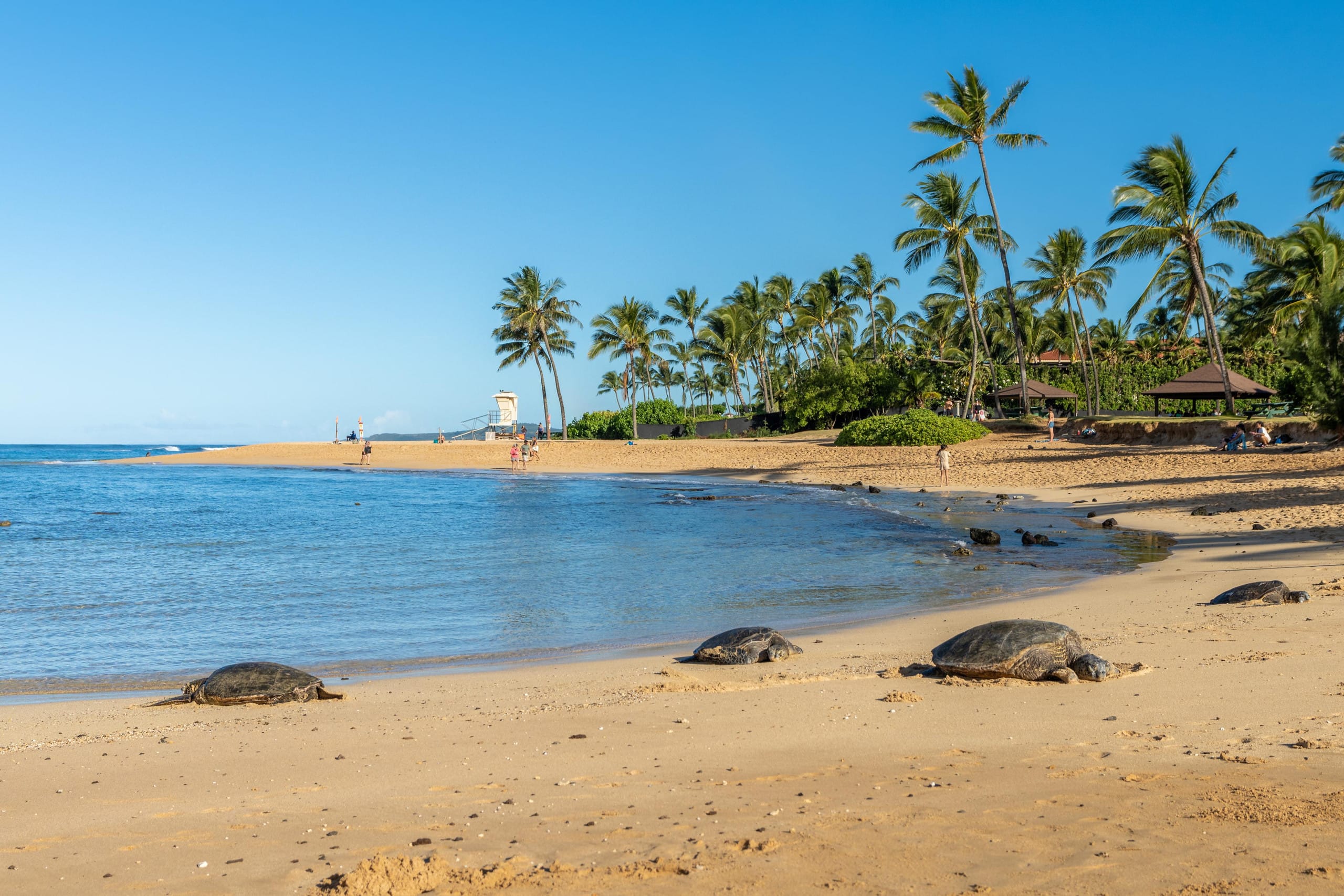 Condo in Koloa · ★4.5 · 2 bedrooms · 2 beds · 1 shared bath - Image 21