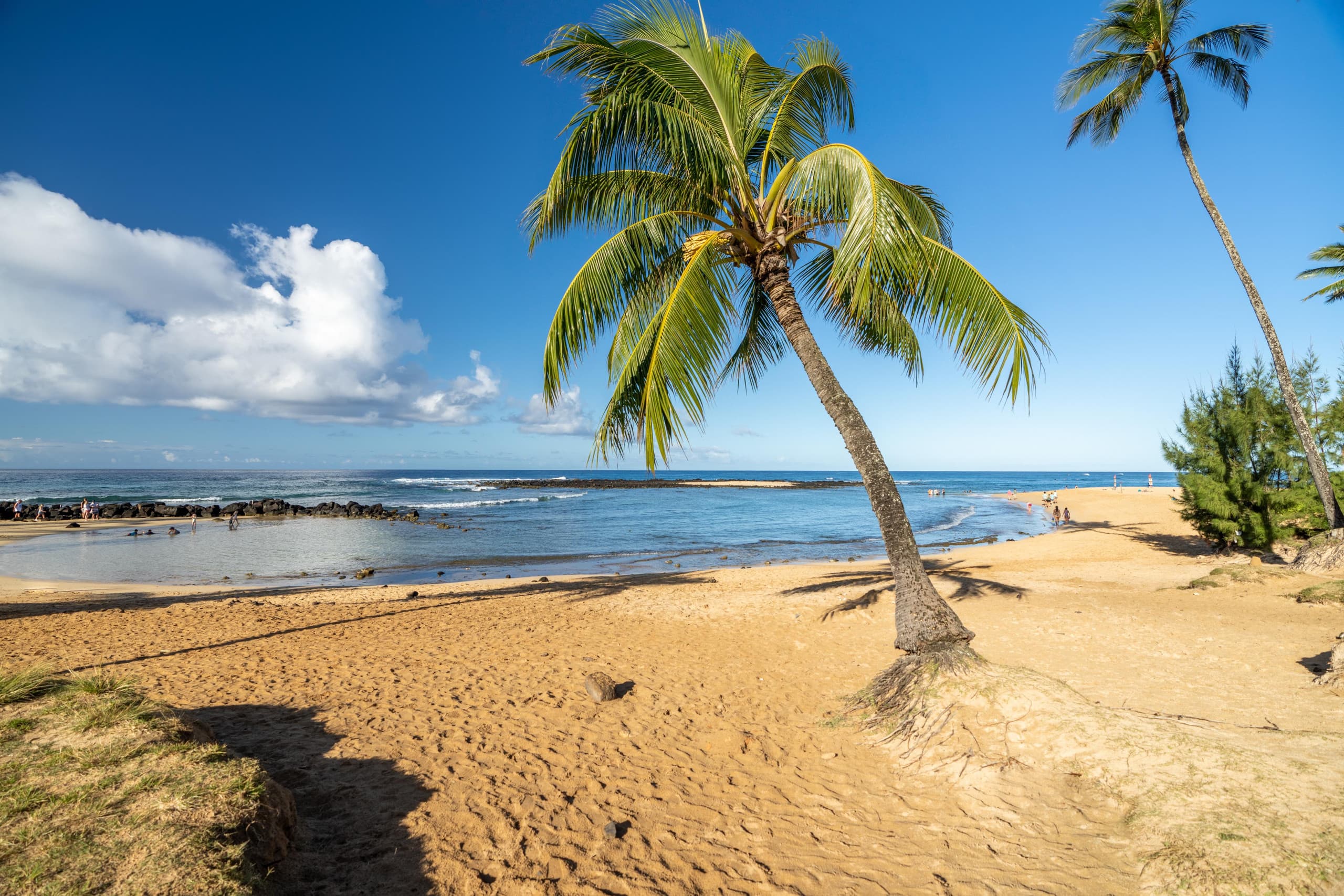 Condo in Koloa · ★4.5 · 2 bedrooms · 2 beds · 1 shared bath - Image 24