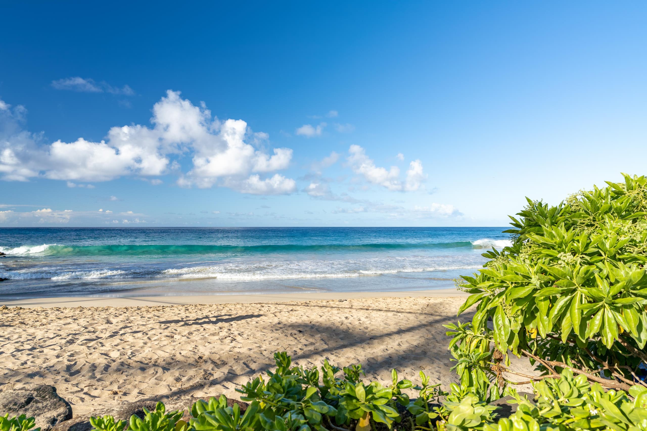 Condo in Koloa · ★4.5 · 2 bedrooms · 2 beds · 1 shared bath - Image 25