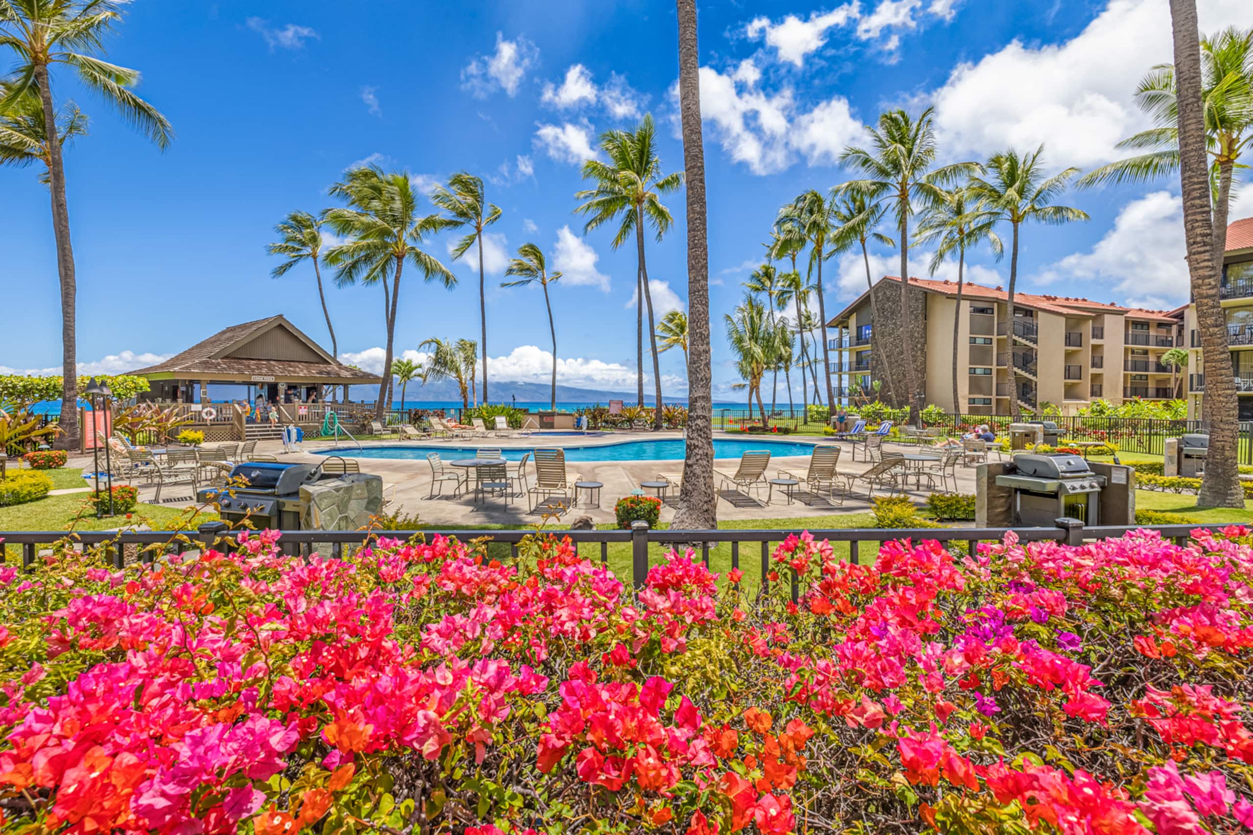 Condo in Lahaina · ★4.8 · 1 bedroom · 2 beds · 1 private bath - Image 31