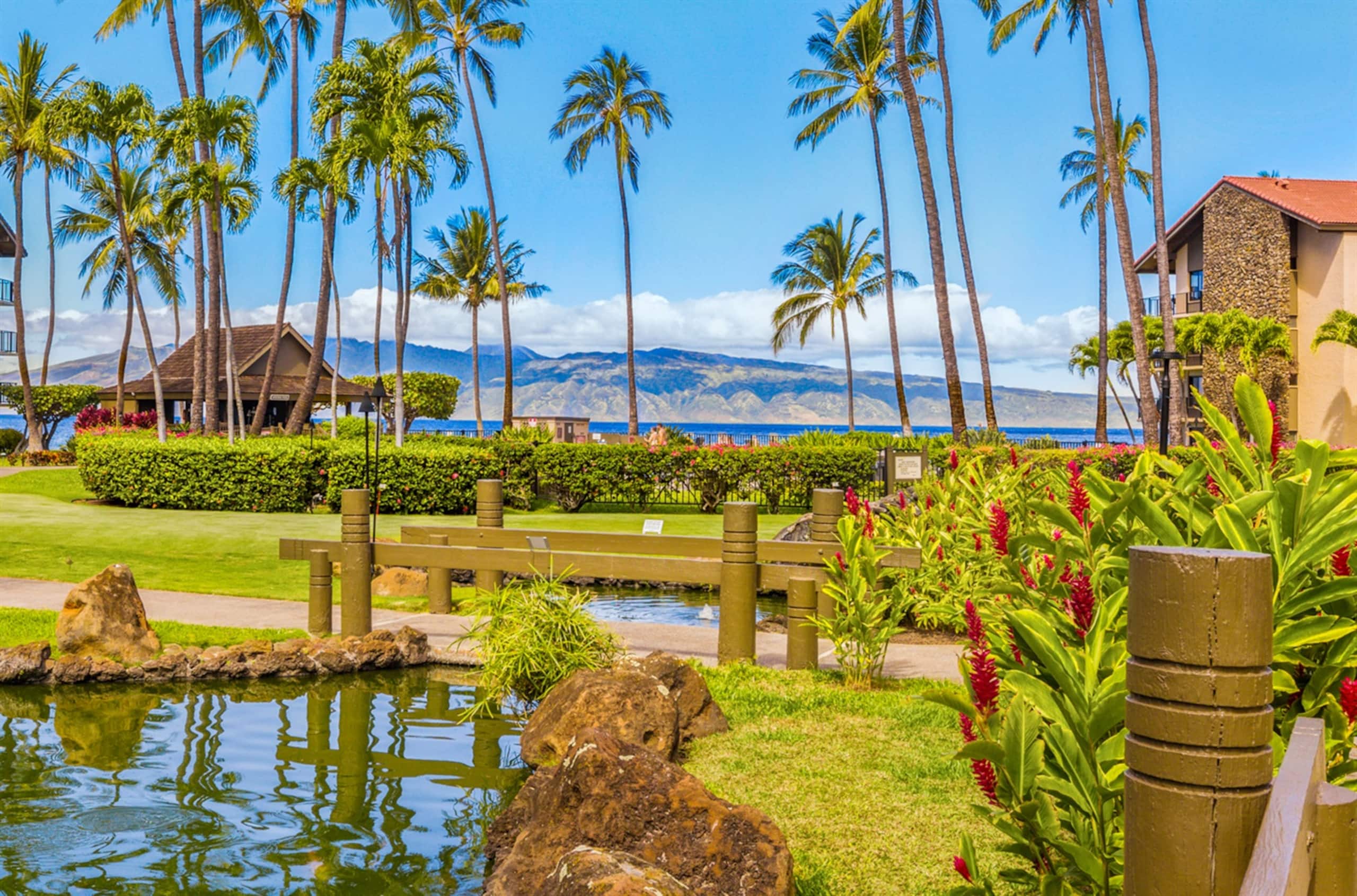 Condo in Lahaina · ★4.8 · 1 bedroom · 2 beds · 1 private bath - Image 6