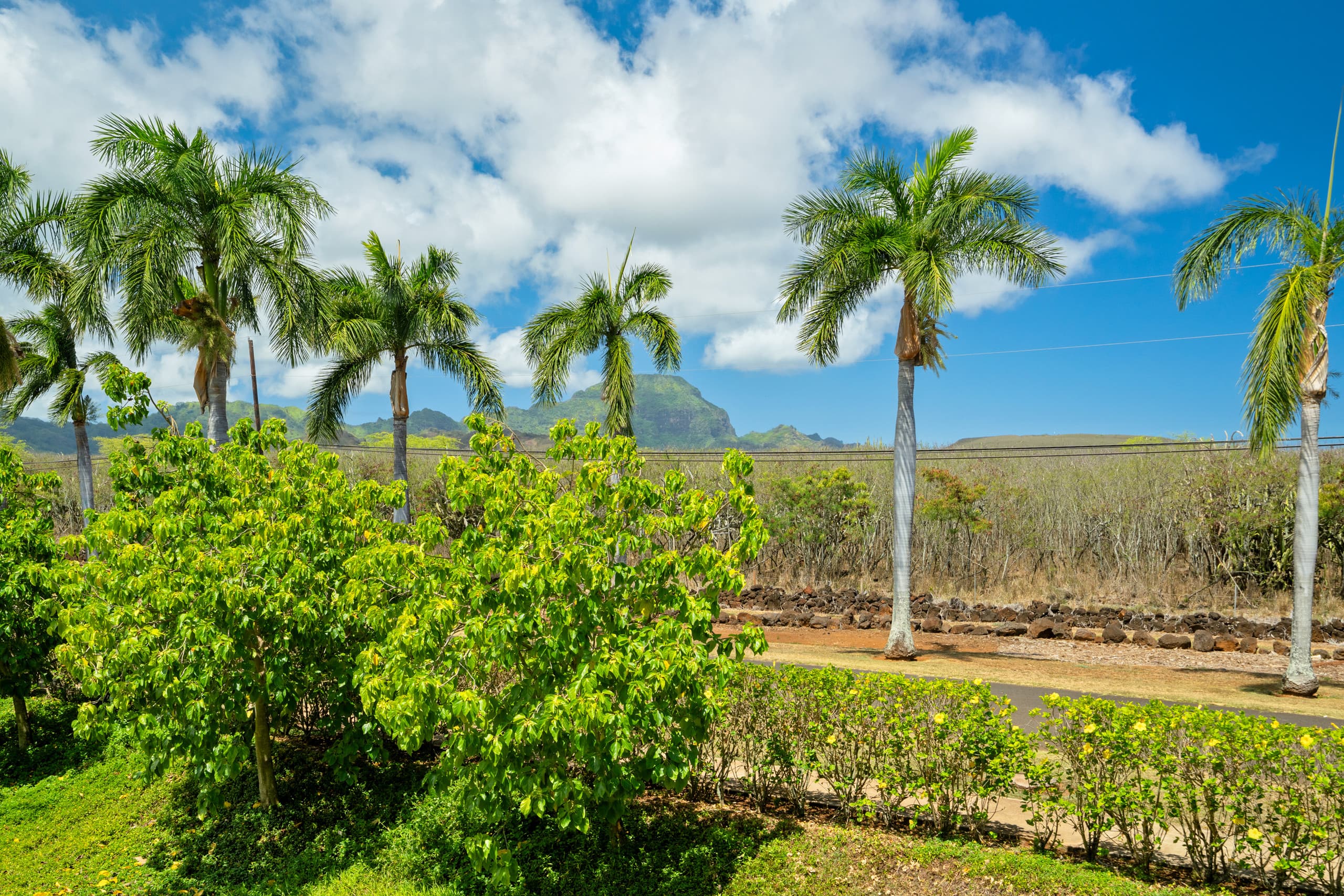 Condo in Koloa · ★4.86 · 3 bedrooms · 5 beds · 2.5 private baths - Image 13