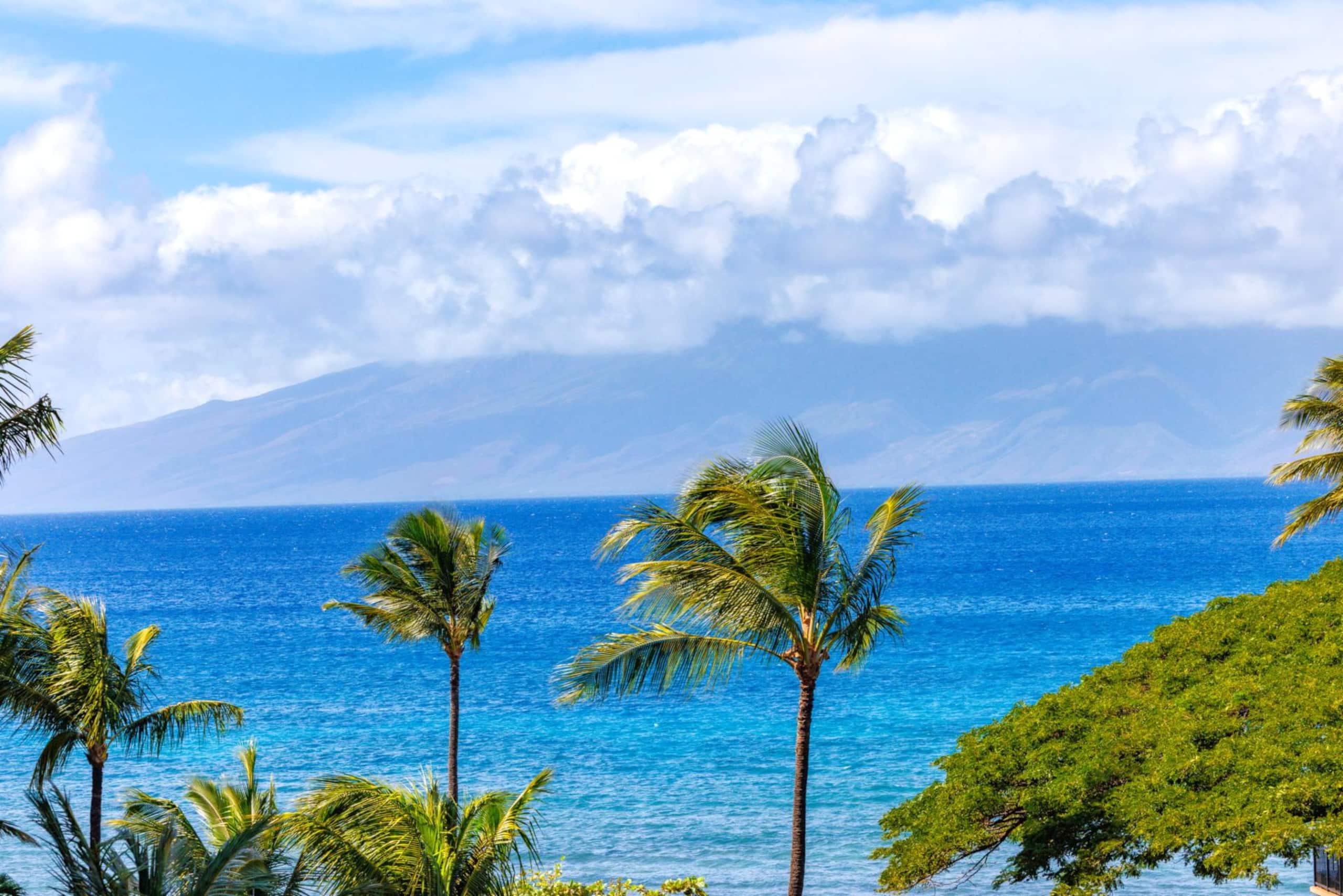 Condo in Lahaina · ★4.63 · 2 bedrooms · 4 beds · 2 baths - Image 19