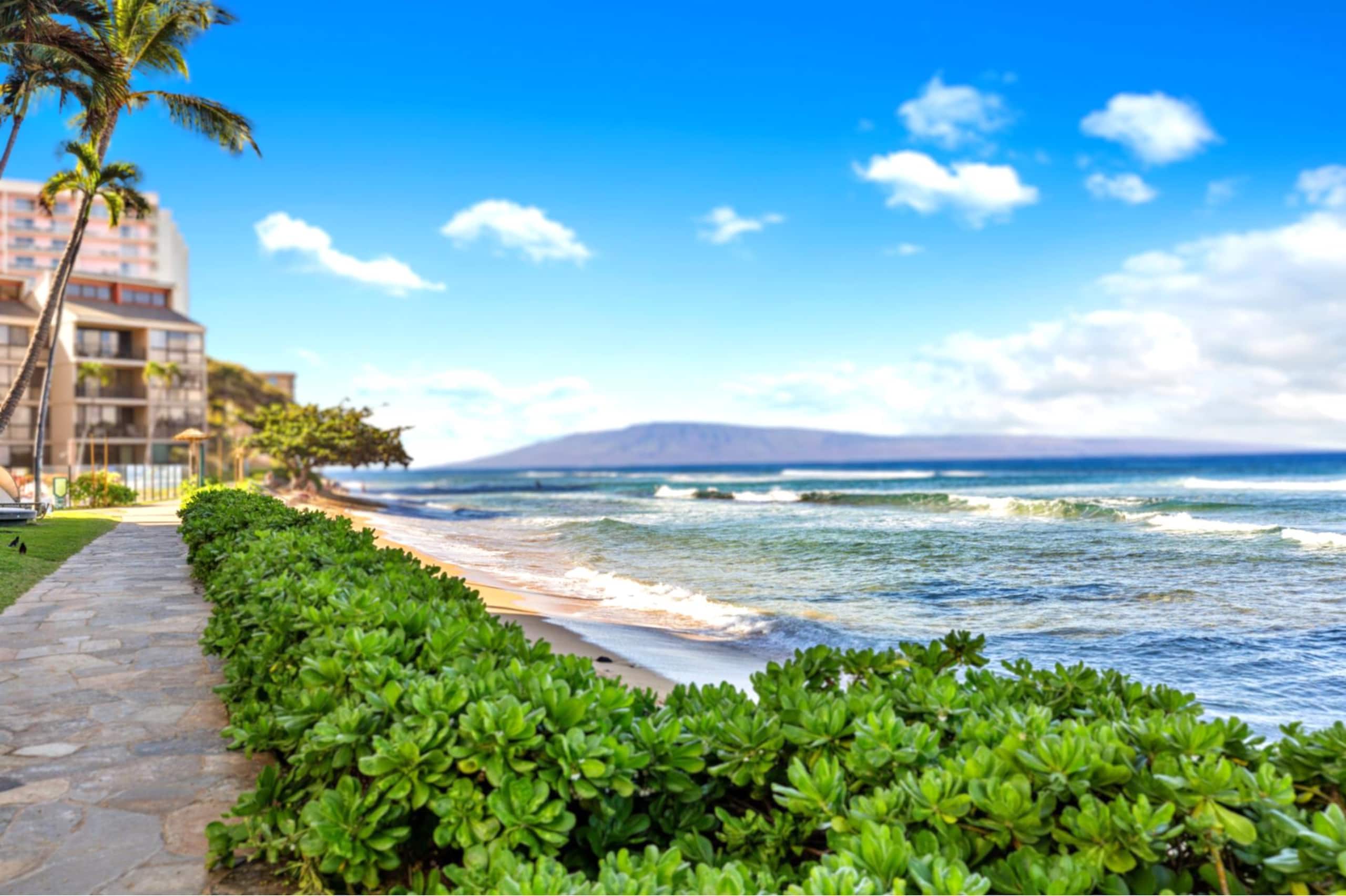 Condo in Lahaina · ★4.63 · 2 bedrooms · 4 beds · 2 baths - Image 26