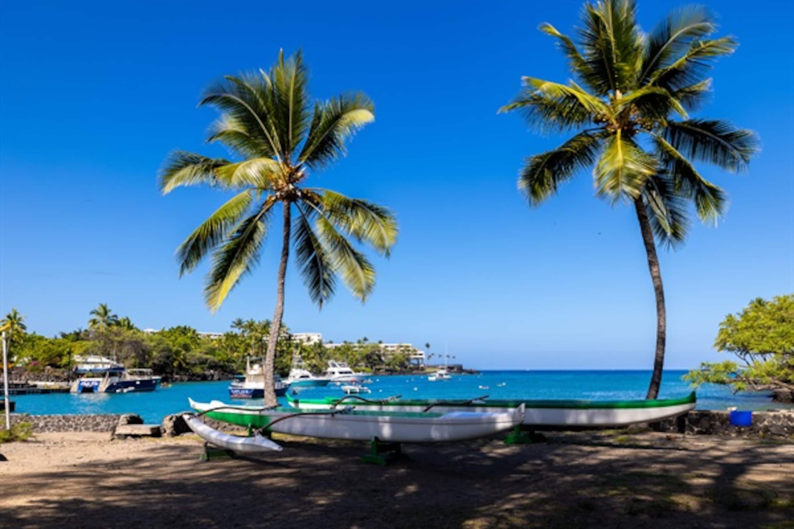 Home in Kailua-Kona · ★5.0 · 4 bedrooms · 13 beds · 3 private baths - Image 133