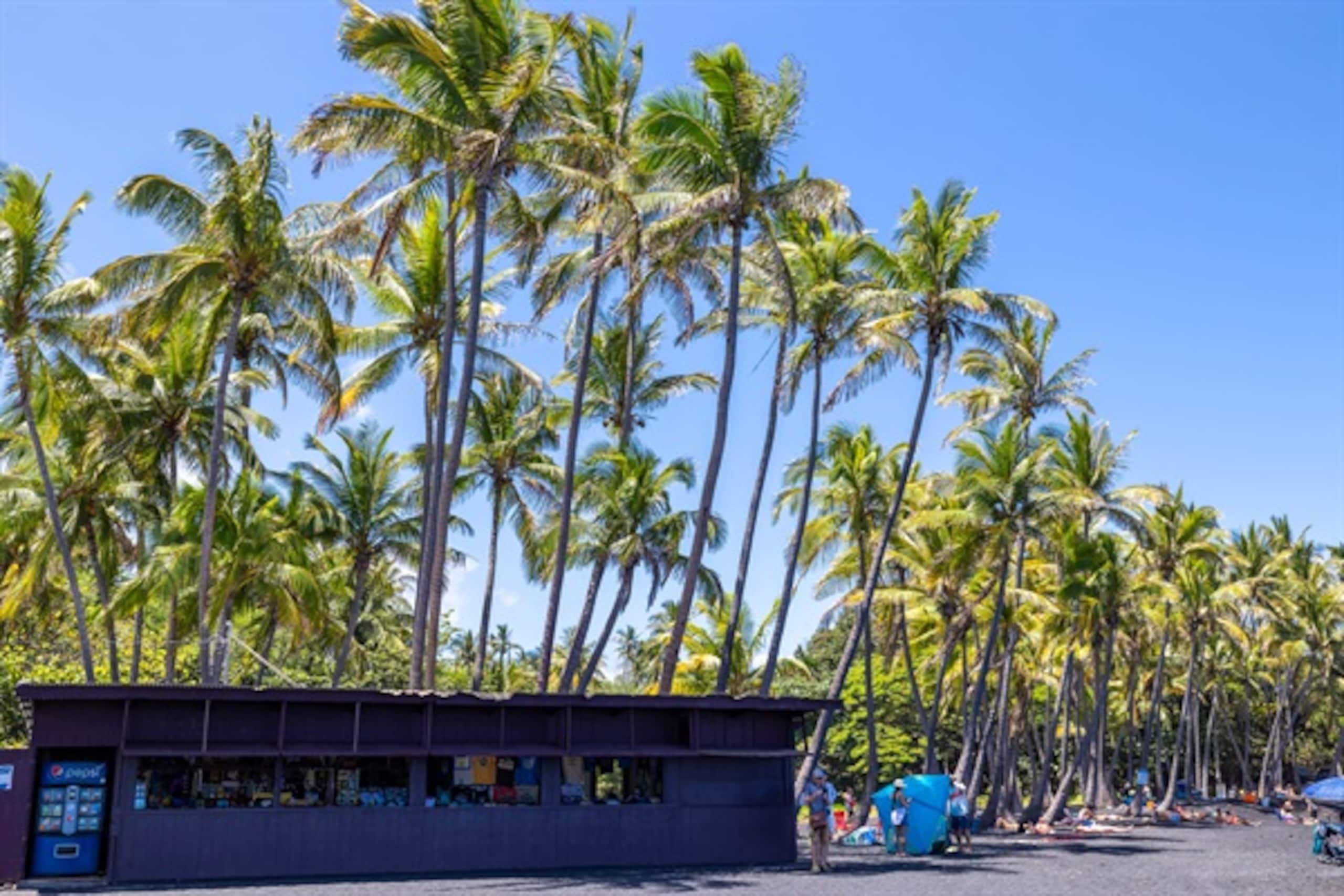 Home in Kailua-Kona · ★5.0 · 4 bedrooms · 13 beds · 3 private baths - Image 43