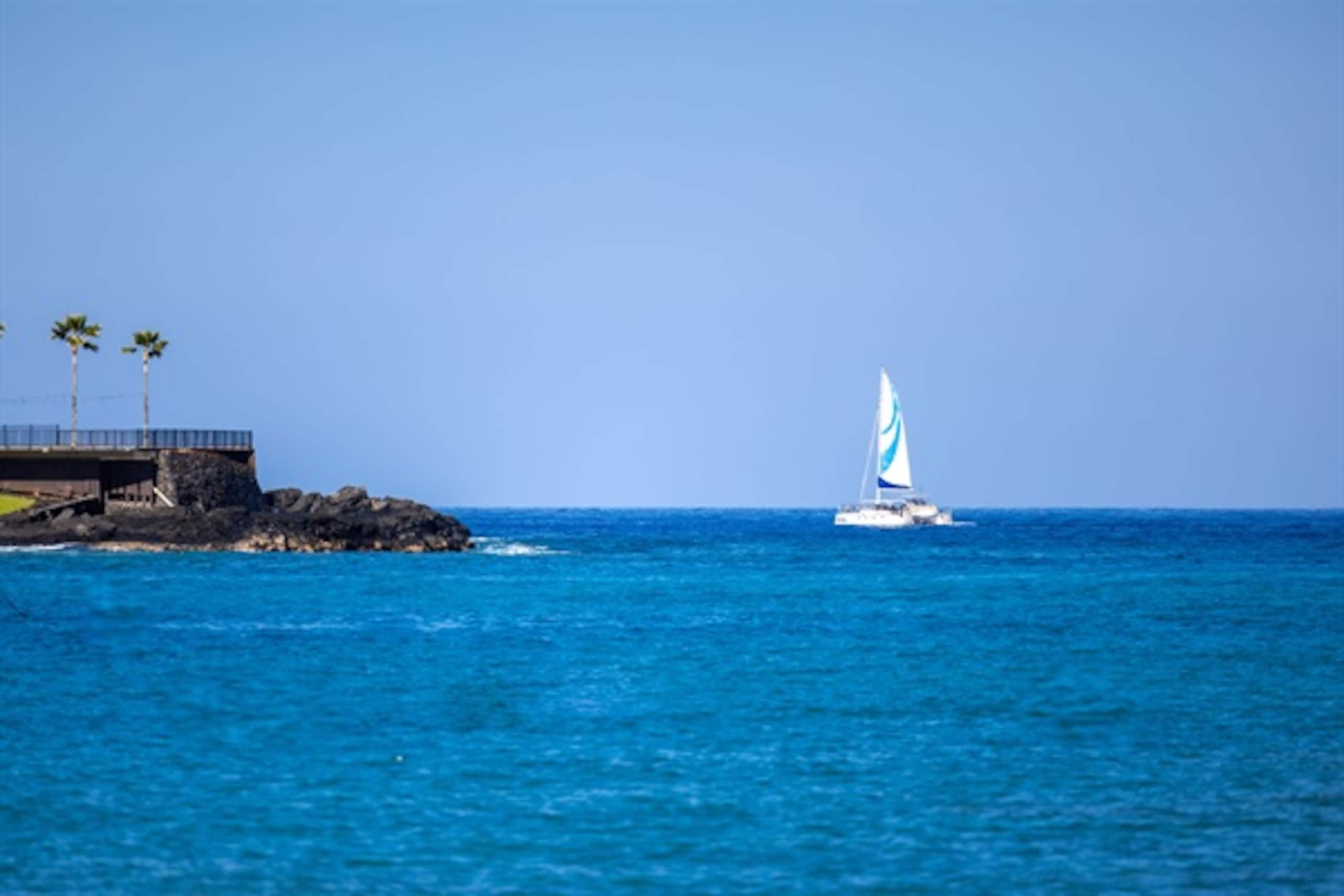 Home in Kailua-Kona · ★5.0 · 4 bedrooms · 13 beds · 3 private baths - Image 102