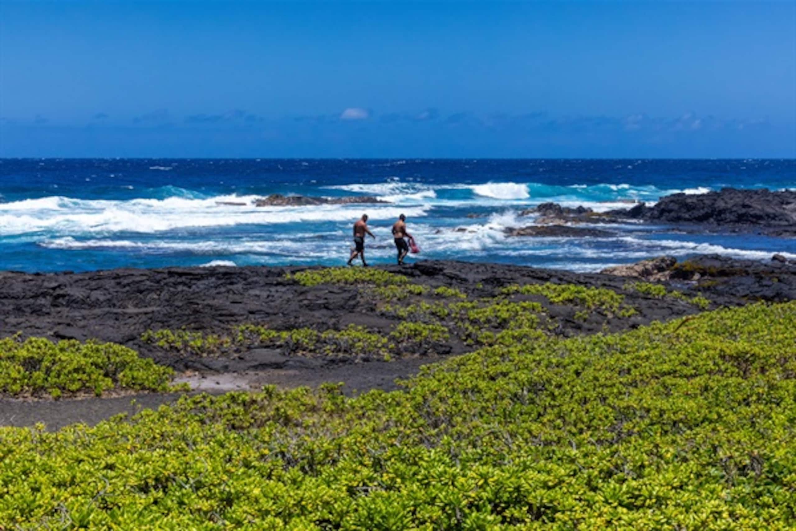 Home in Kailua-Kona · ★5.0 · 4 bedrooms · 13 beds · 3 private baths - Image 156