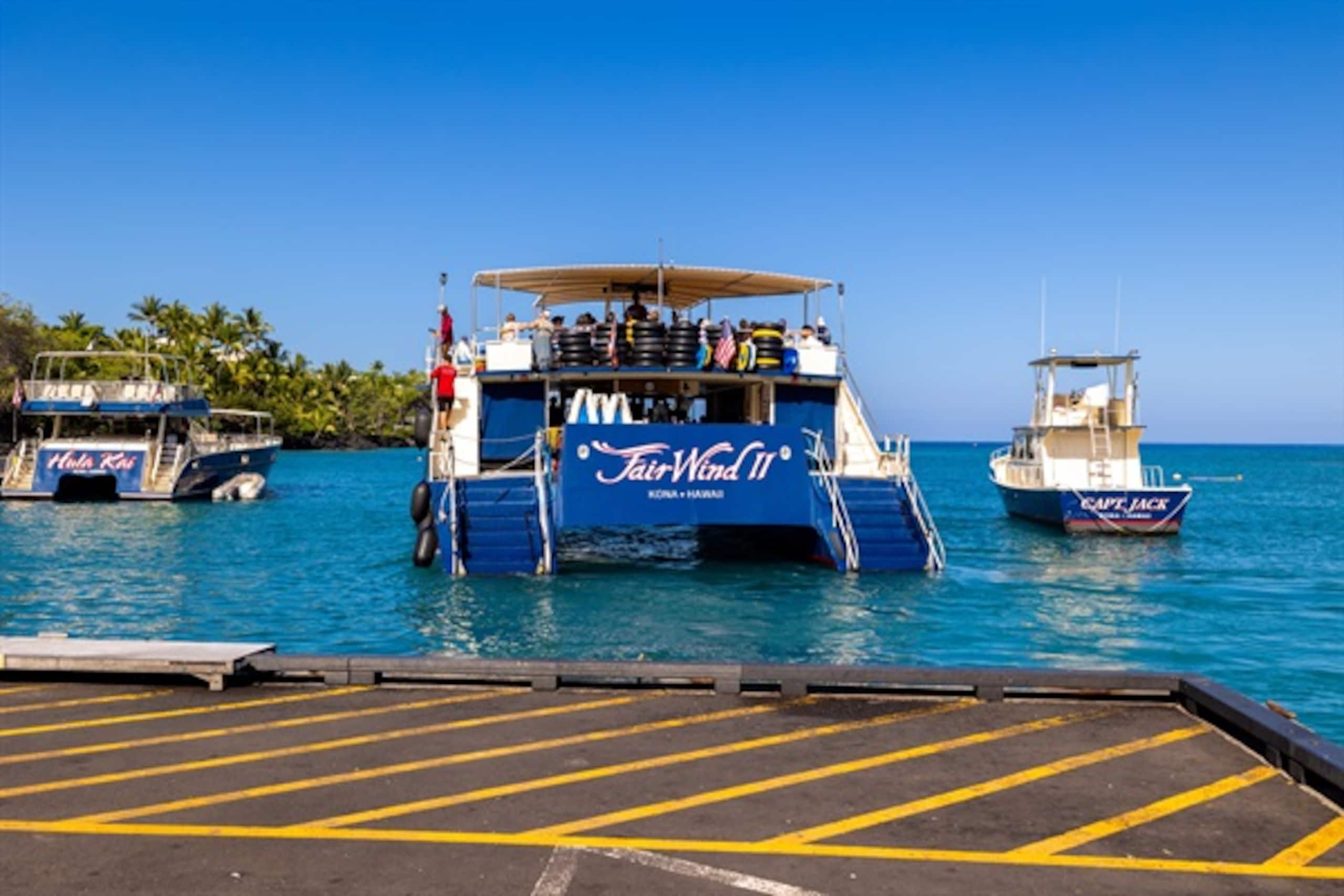 Home in Kailua-Kona · ★5.0 · 4 bedrooms · 13 beds · 3 private baths - Image 122