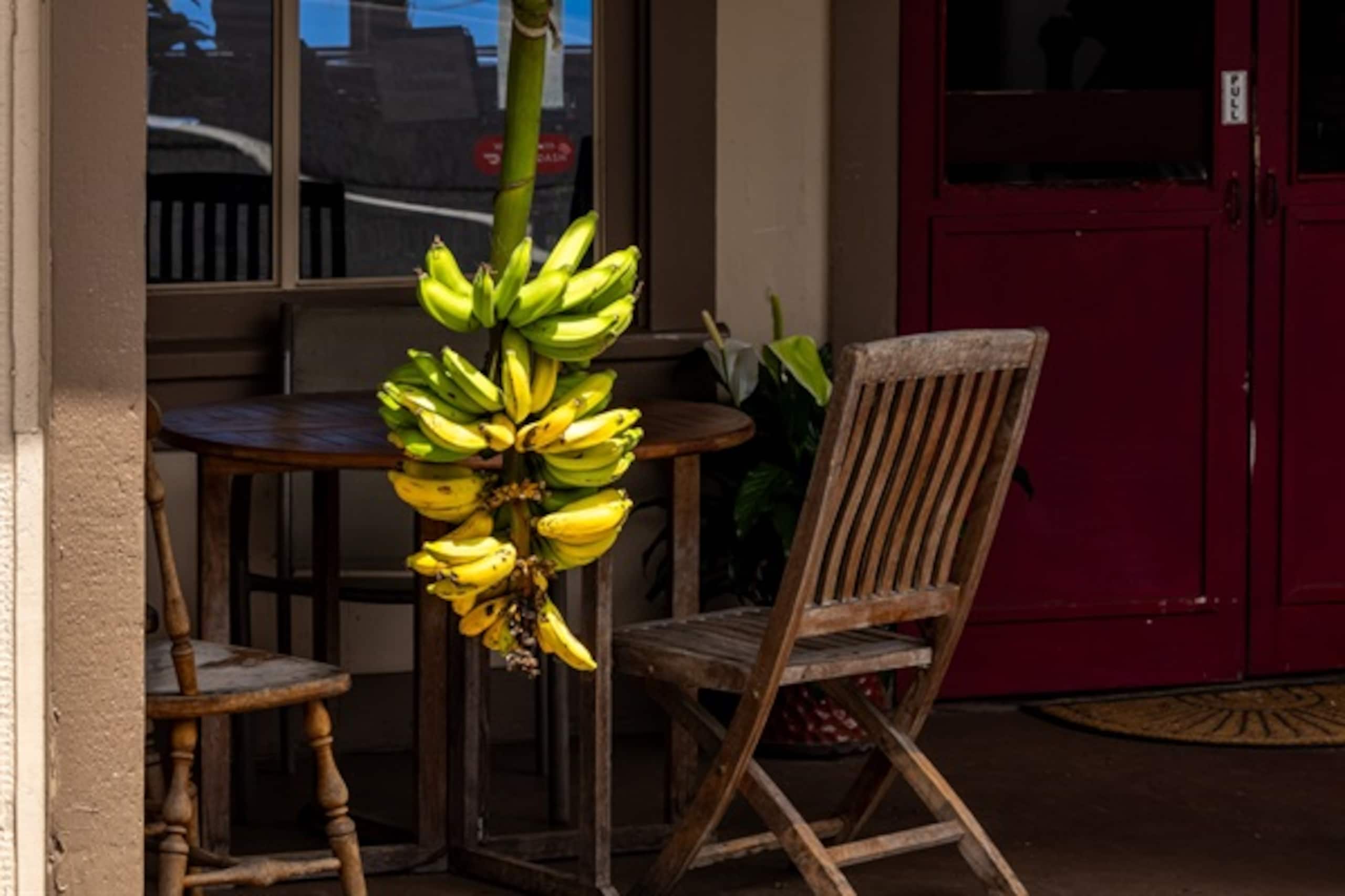 Home in Kailua-Kona · ★5.0 · 4 bedrooms · 13 beds · 3 private baths - Image 141