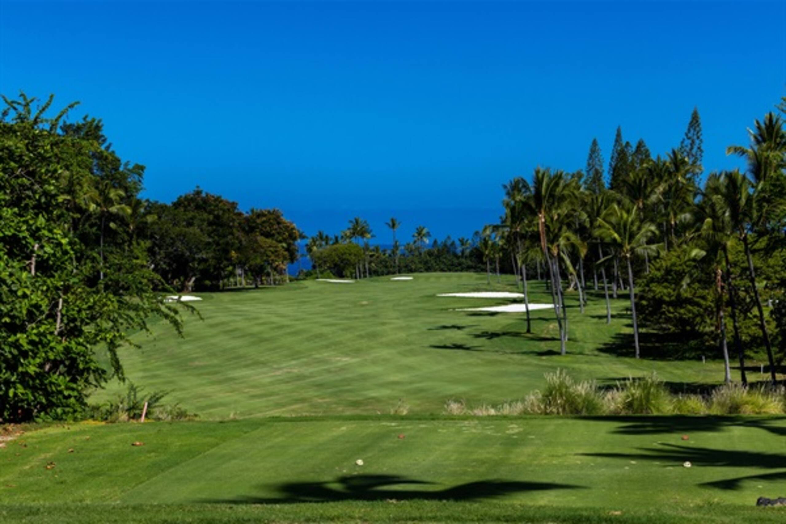 Home in Kailua-Kona · ★5.0 · 4 bedrooms · 13 beds · 3 private baths - Image 83