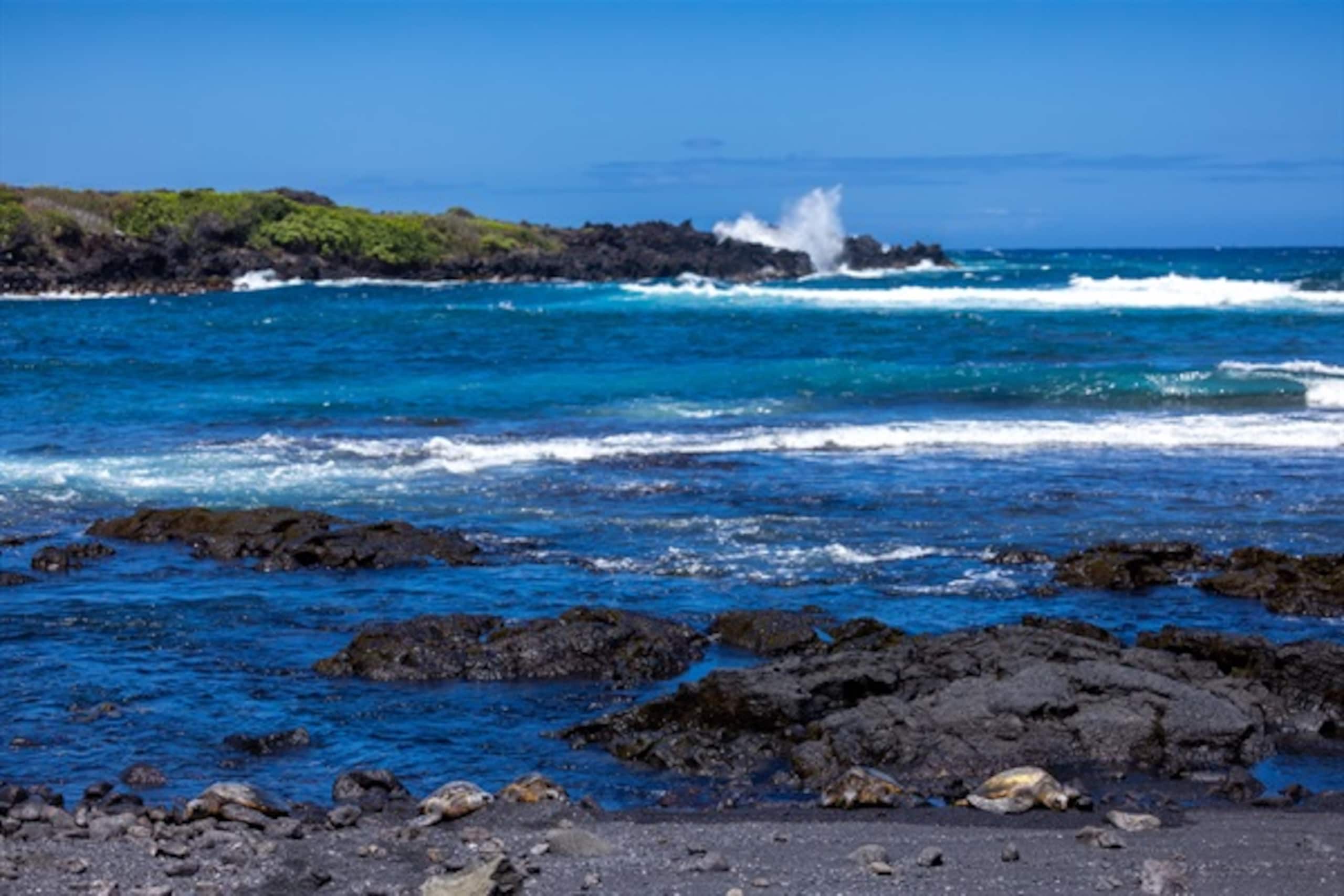 Home in Kailua-Kona · ★5.0 · 4 bedrooms · 13 beds · 3 private baths - Image 79